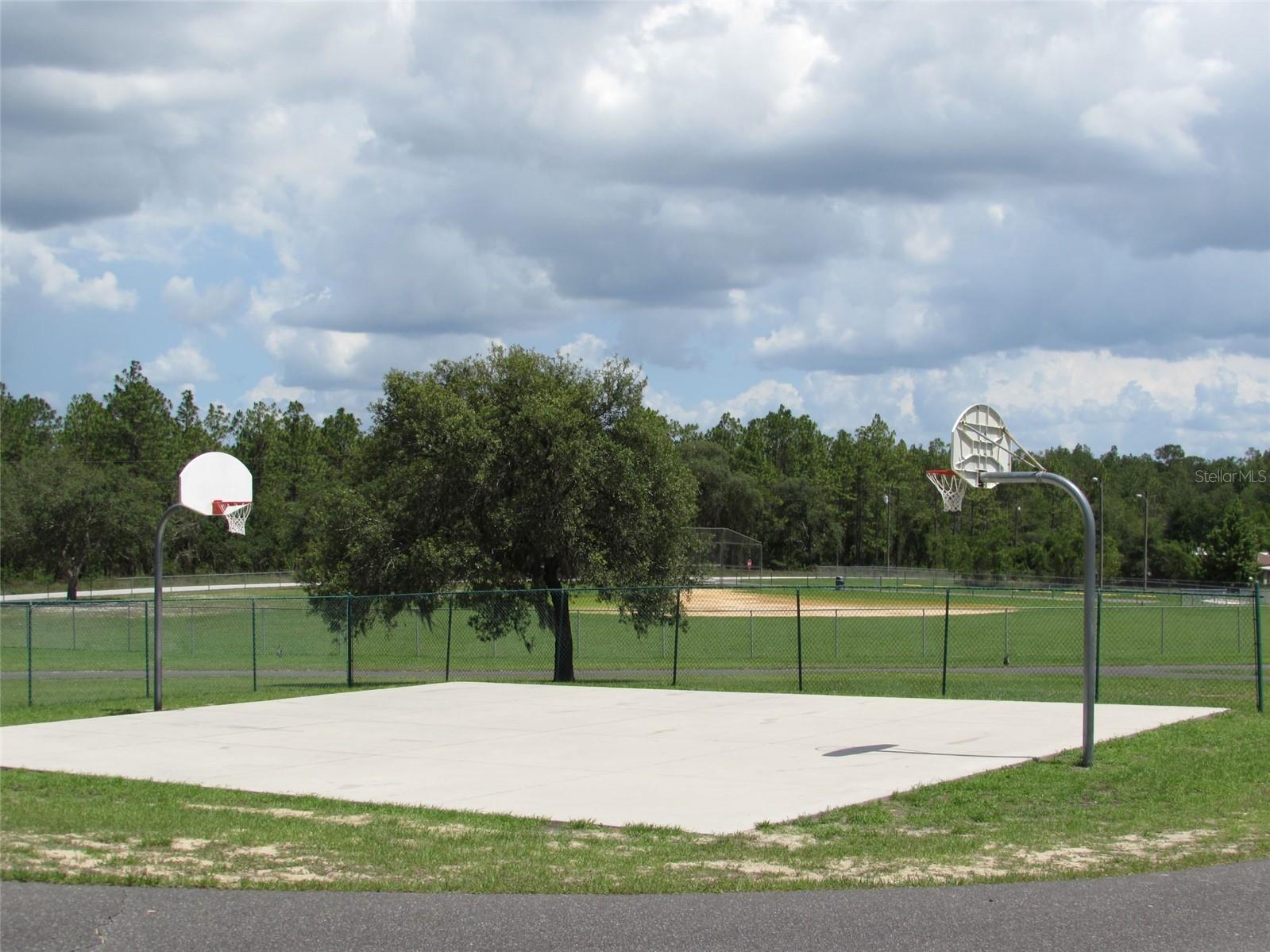 Lot 42 SW AZALEA COURT, Dunnellon, FL 34431