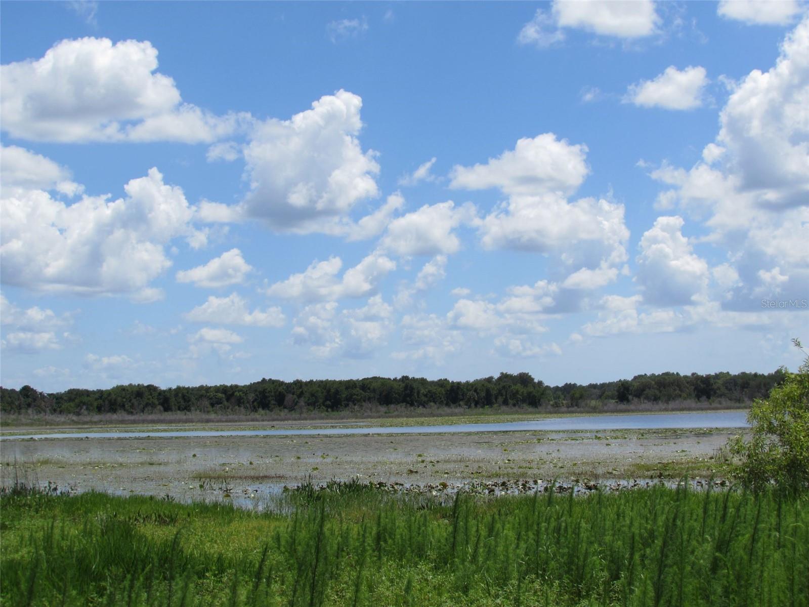 Lot 42 SW AZALEA COURT, Dunnellon, FL 34431