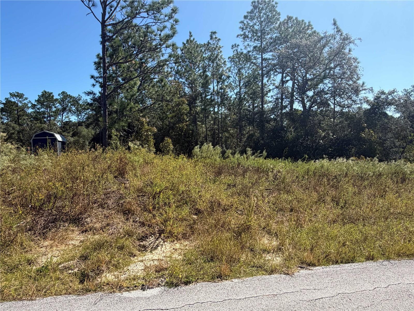 Lot 42 SW AZALEA COURT, Dunnellon, FL 34431