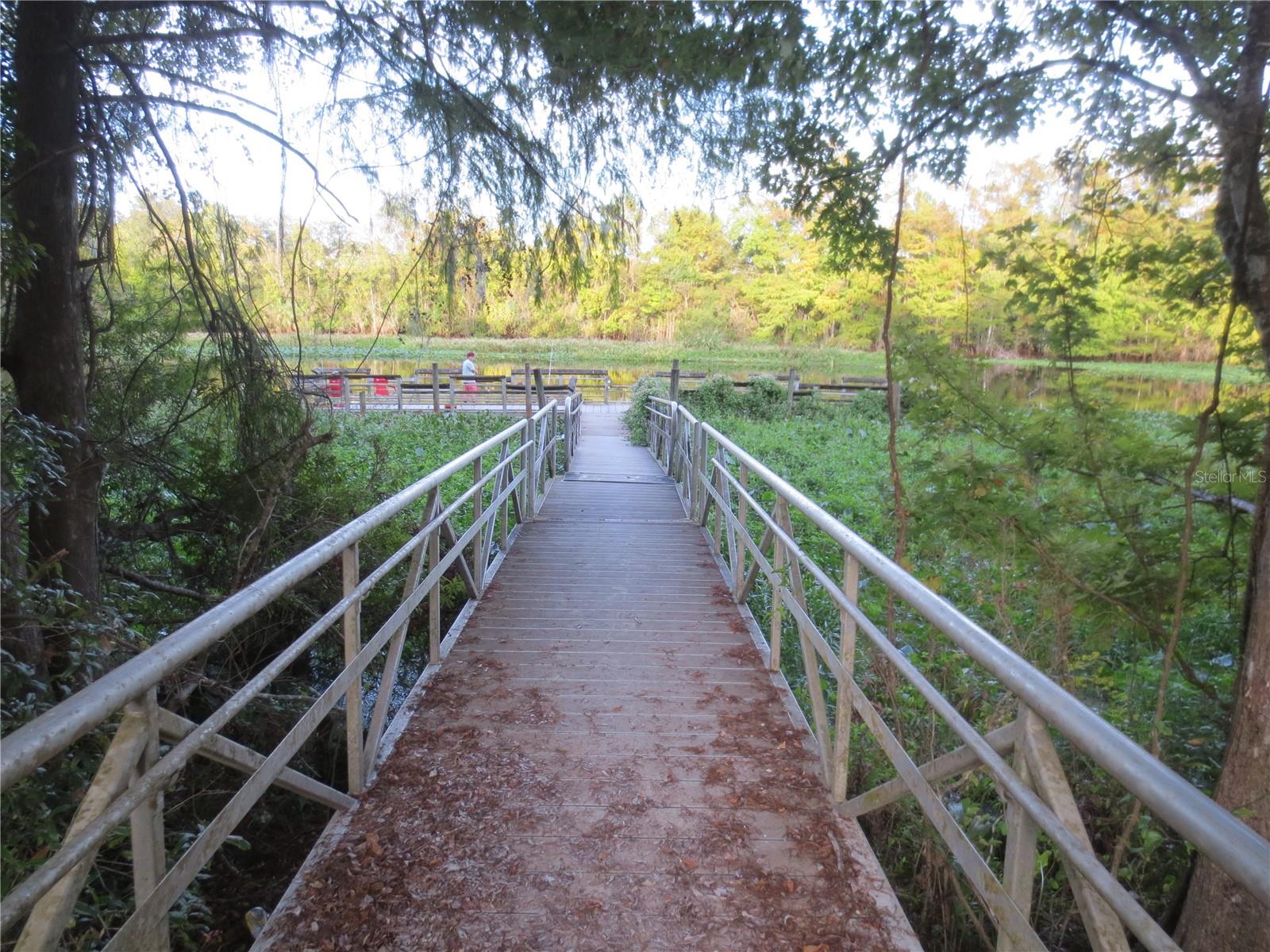 SE 164TH AVENUE, Silver Springs, FL 34488