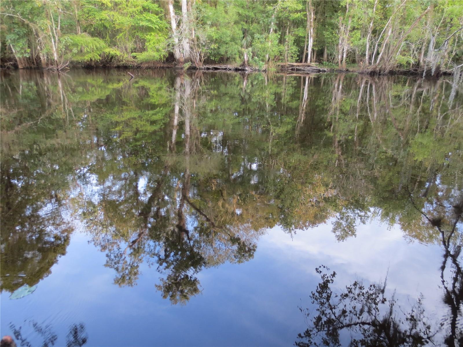 SE 164TH AVENUE, Silver Springs, FL 34488