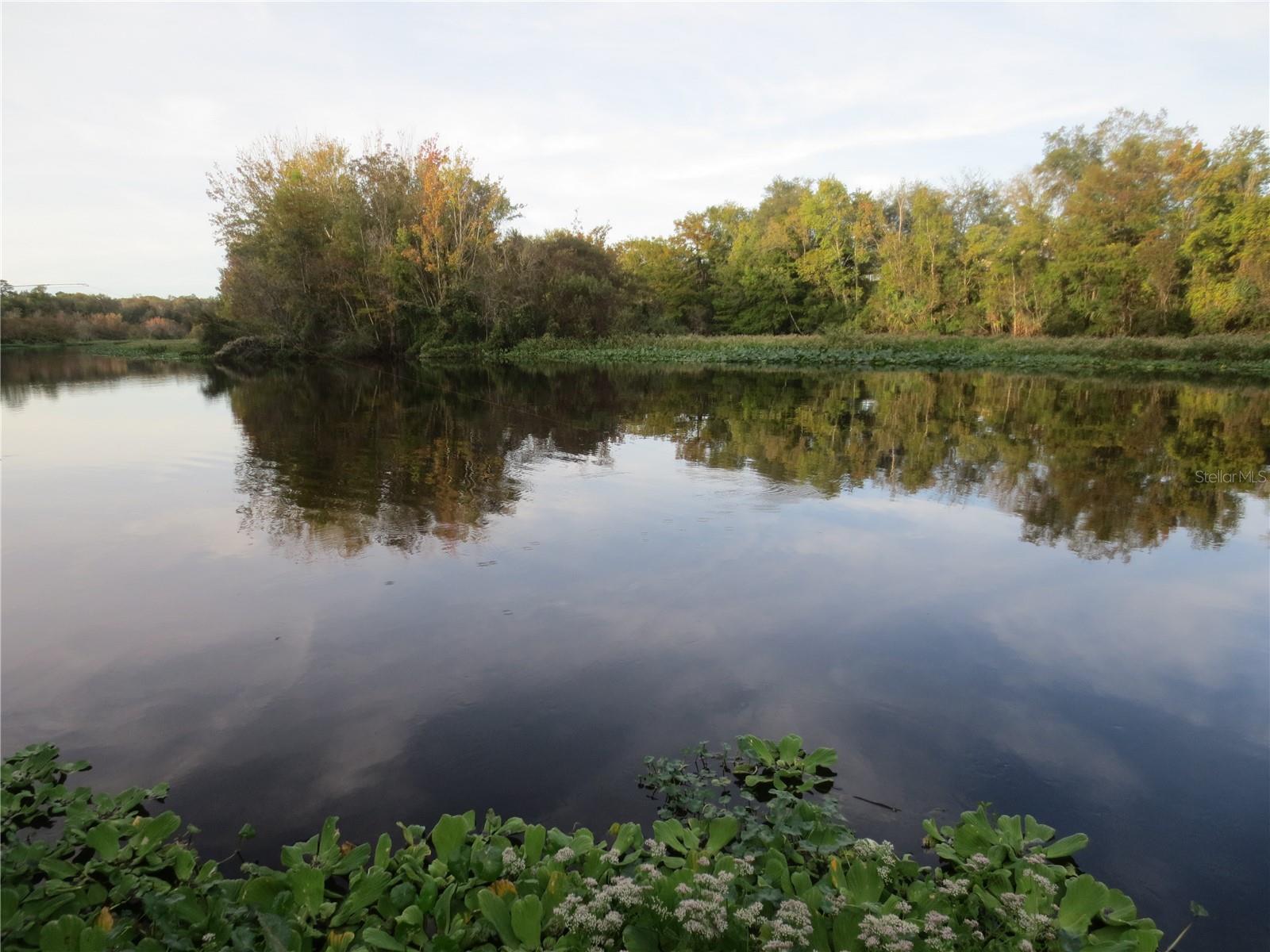 SE 164TH AVENUE, Silver Springs, FL 34488