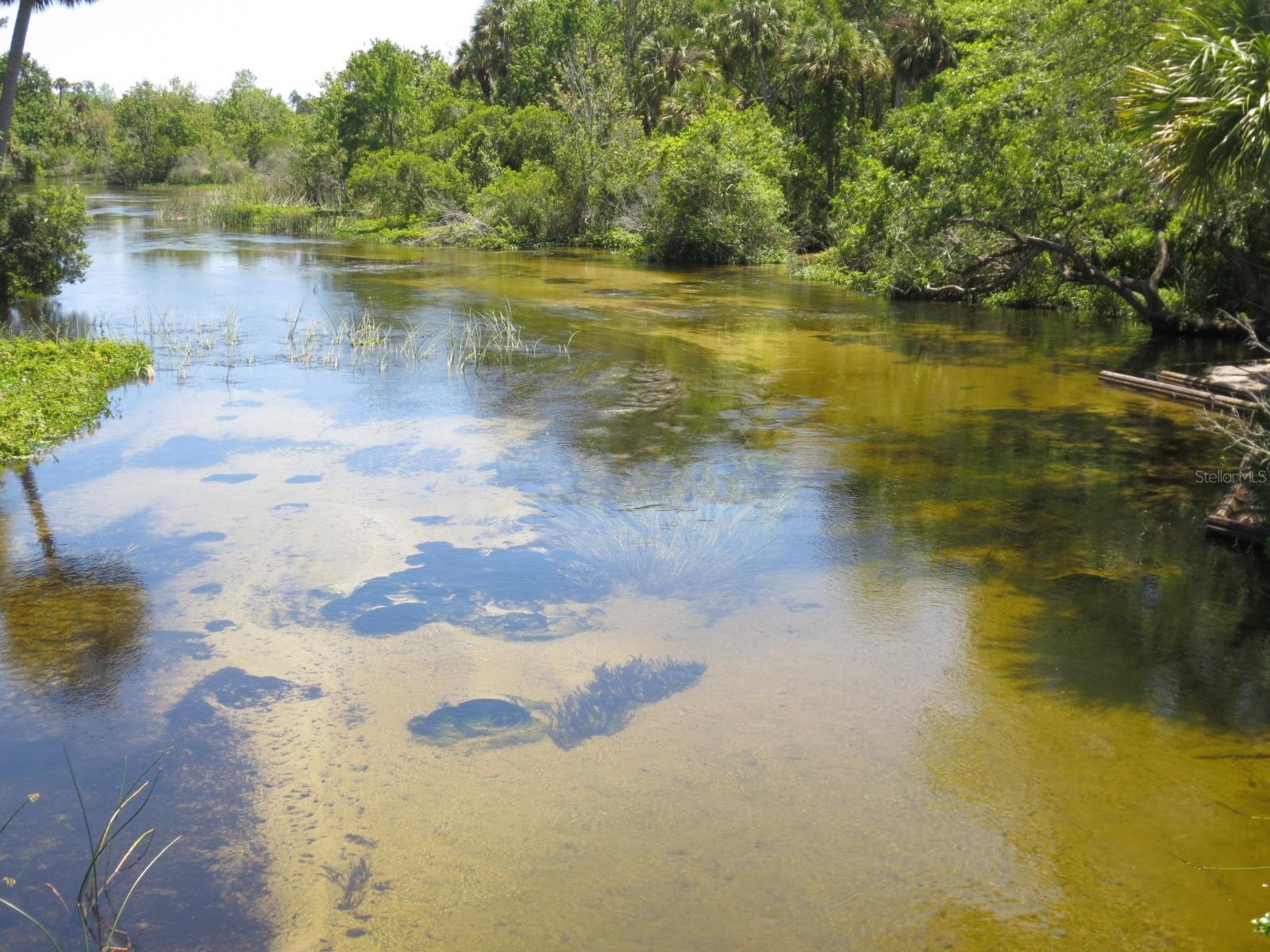 SE 164TH AVENUE, Silver Springs, FL 34488
