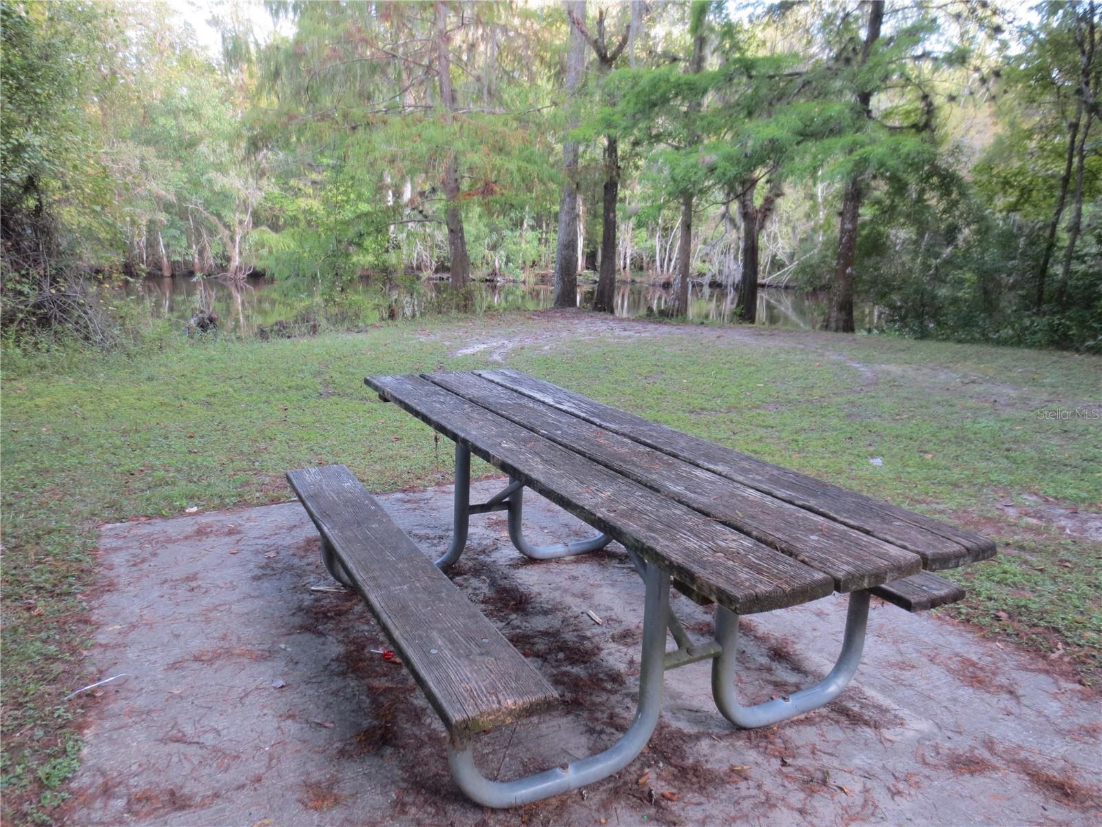 SE 164TH AVENUE, Silver Springs, FL 34488