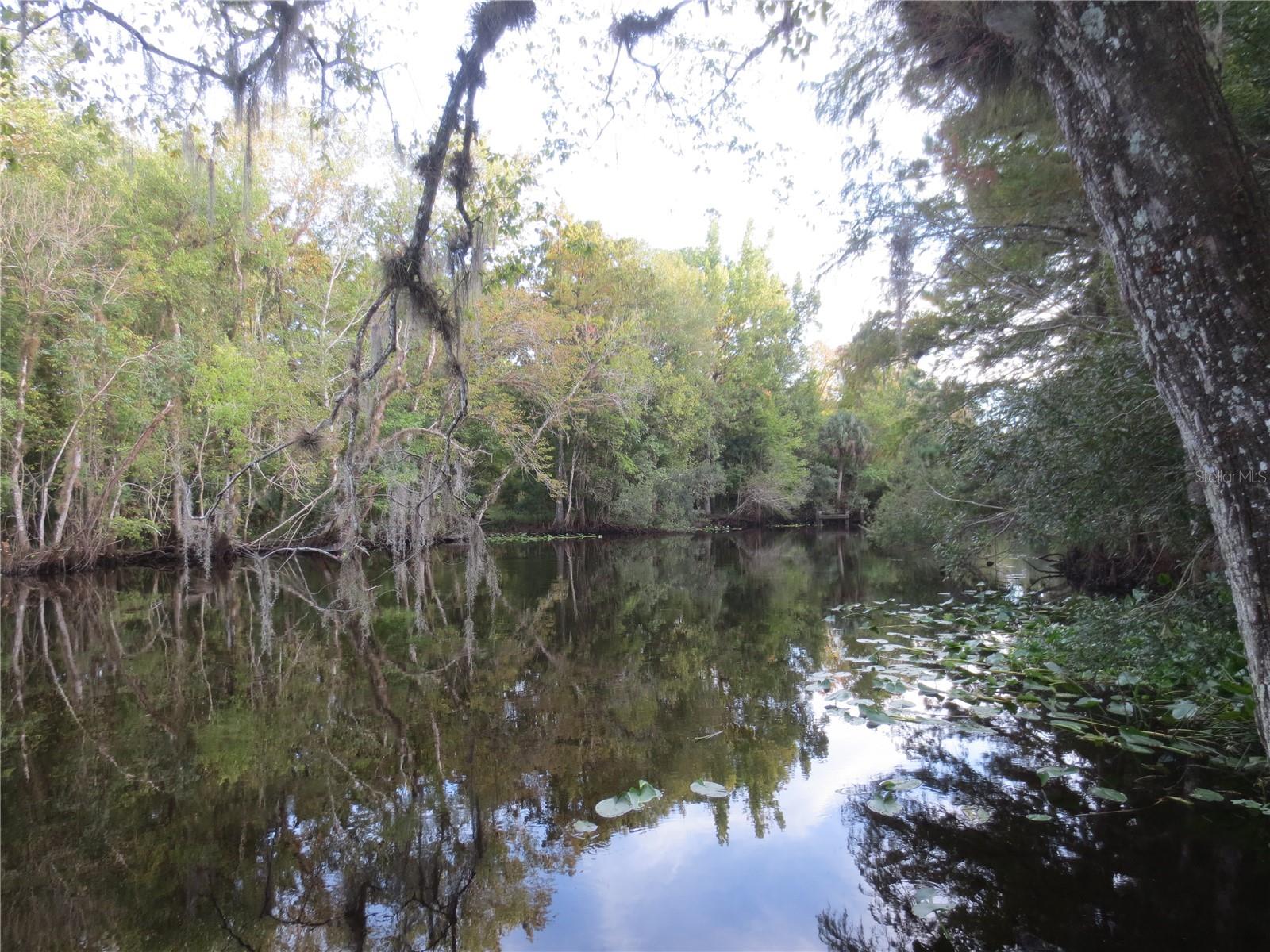 SE 164TH AVENUE, Silver Springs, FL 34488