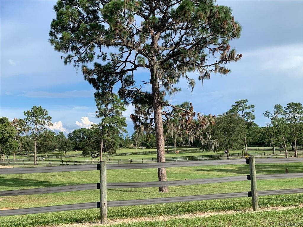 4981 N MULBERRY LOOP, Beverly Hills, FL 34465