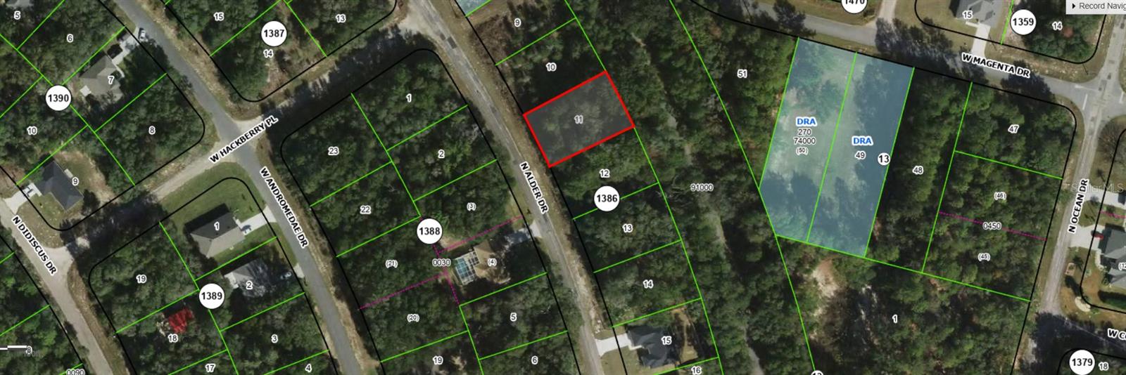 10735 N ADLER DRIVE, Citrus Springs, FL 34434