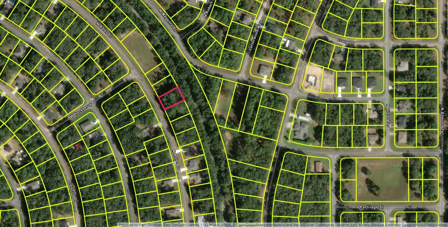 10735 N ADLER DRIVE, Citrus Springs, FL 34434