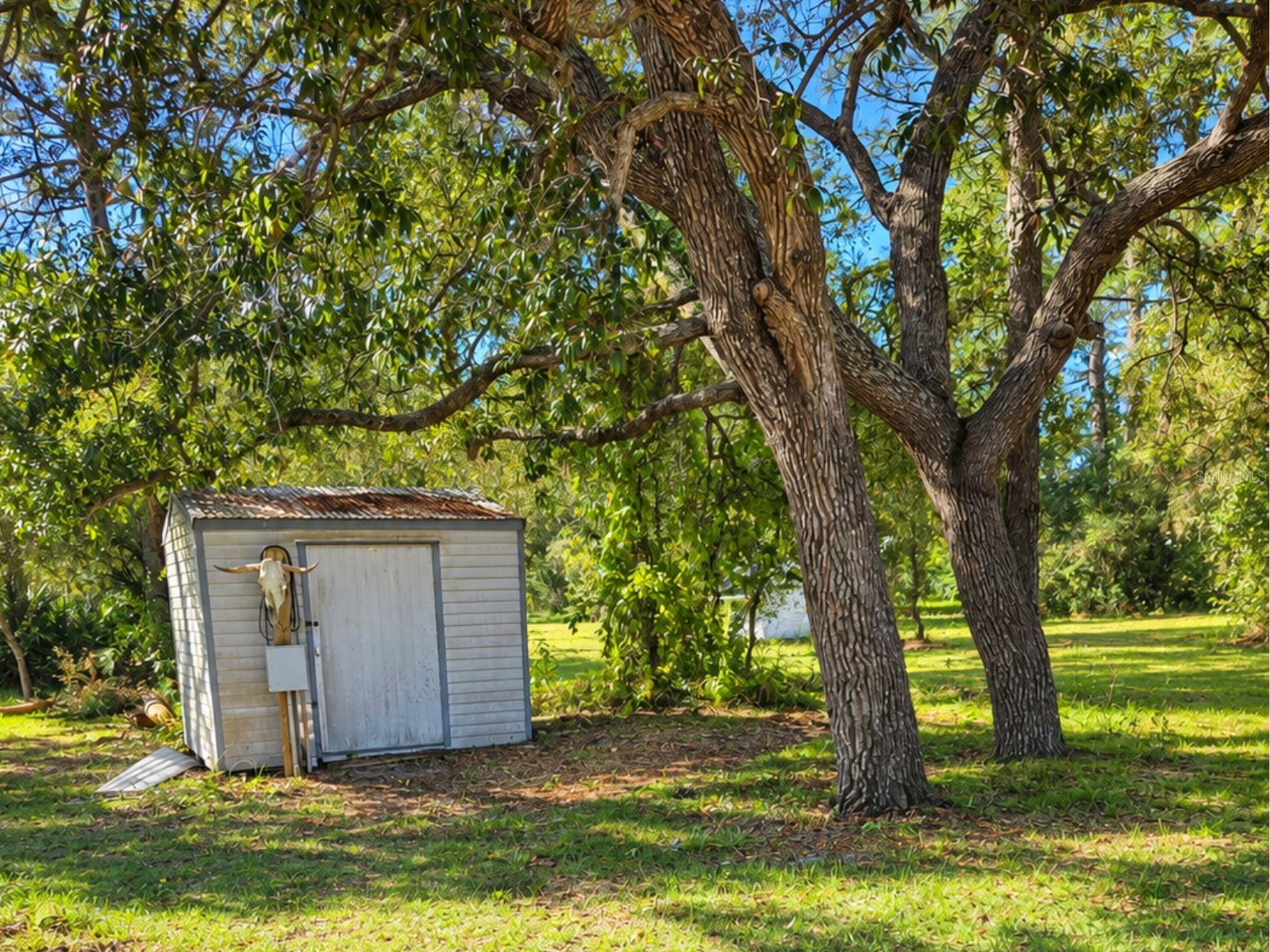 4738 W BLACKRIDGE LANE, Homosassa, FL 34446