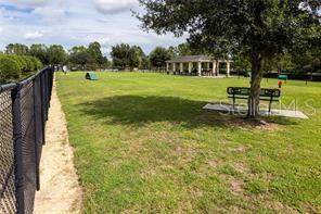 Dog park