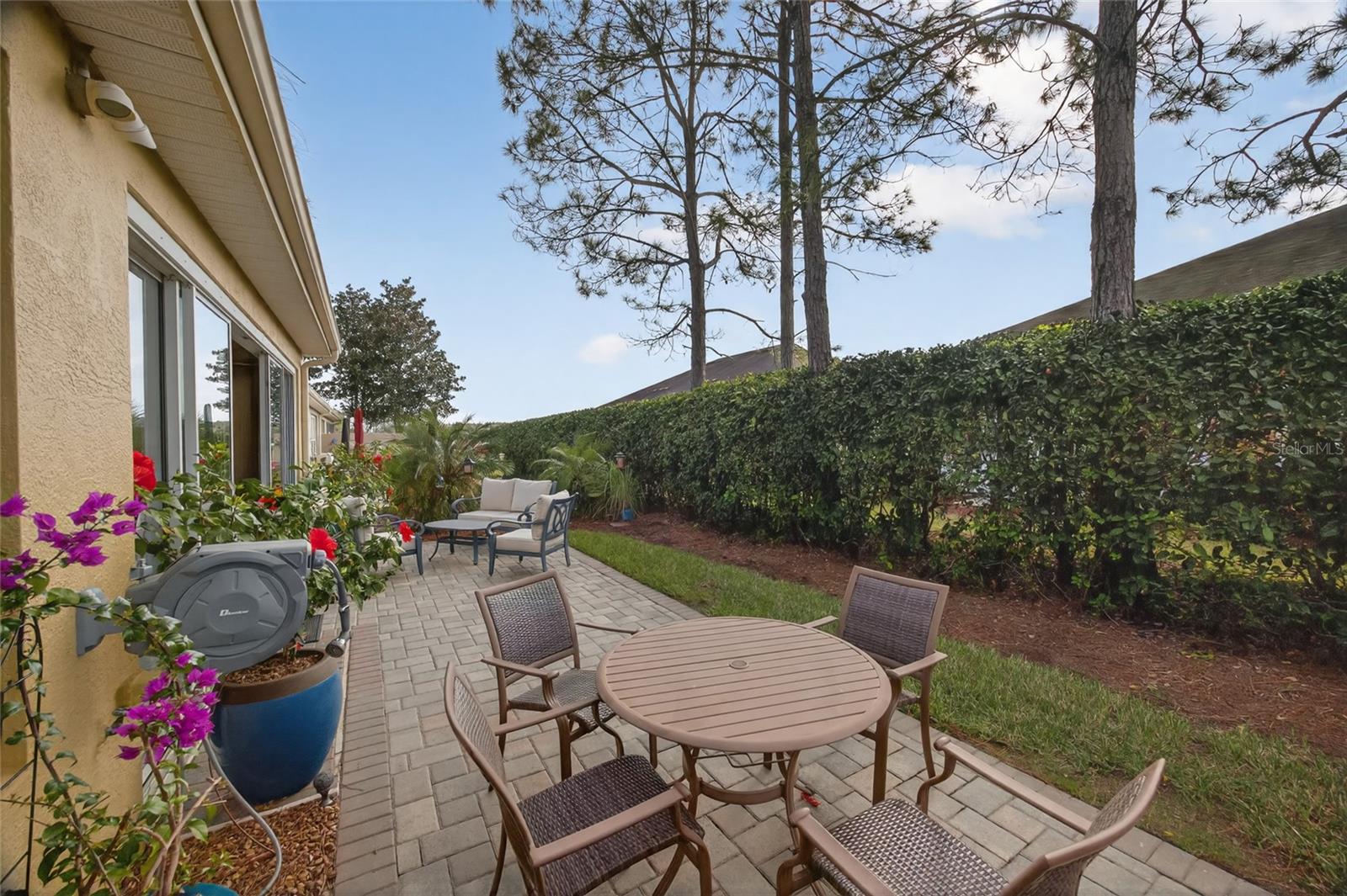 Back patio area.
