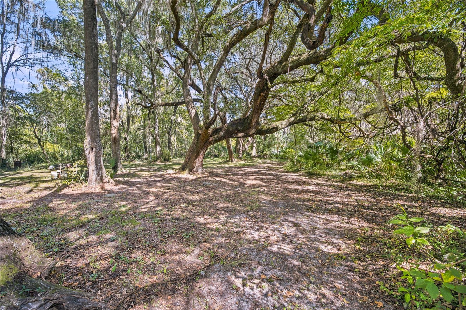 5804 SW 144TH LANE, Micanopy, FL 32667