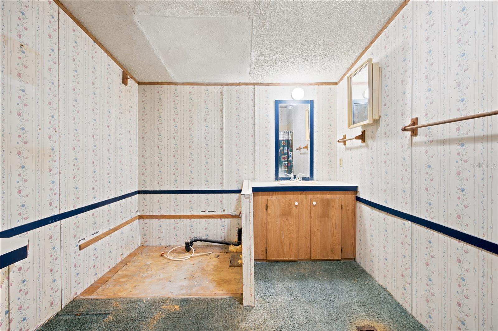 Main Bath