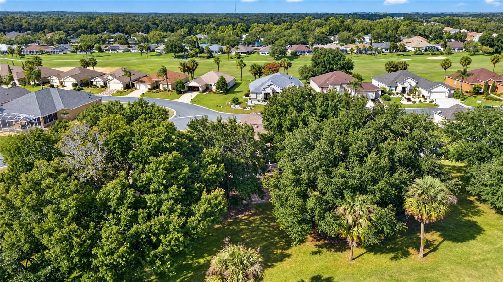 13233 SE 91ST COURT ROAD, Summerfield, FL 34491