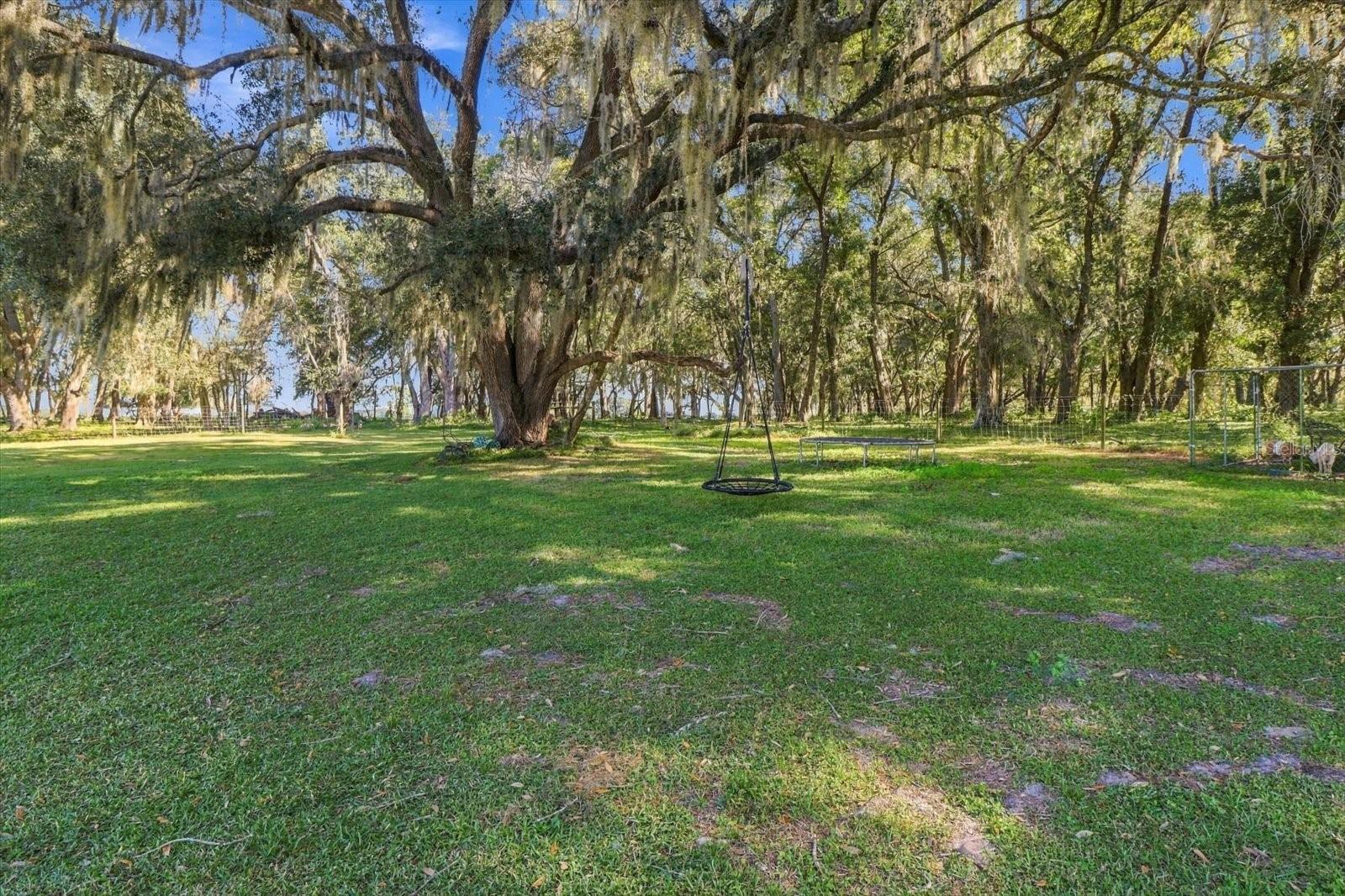 6420 CR 569, Center Hill, FL 33514