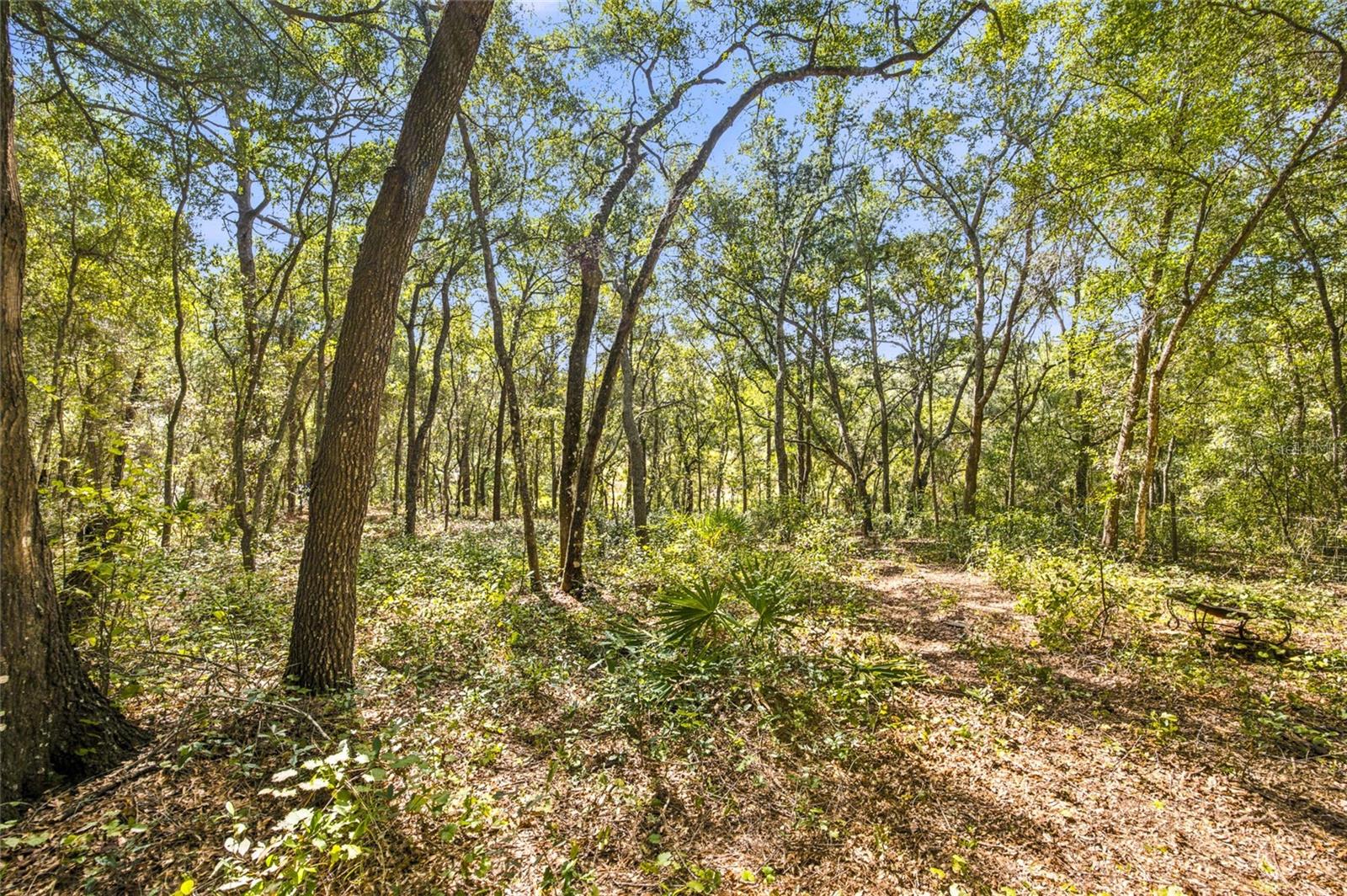 TBD SE 160 COURT ROAD, Ocklawaha, FL 32179