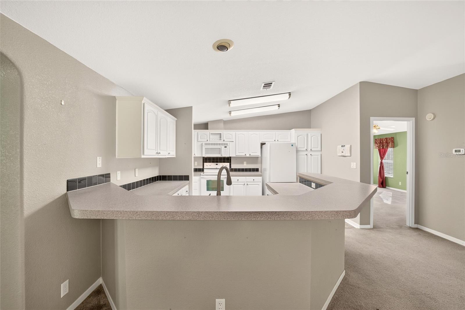 3495 NE 132ND PLACE, Anthony, FL 32617