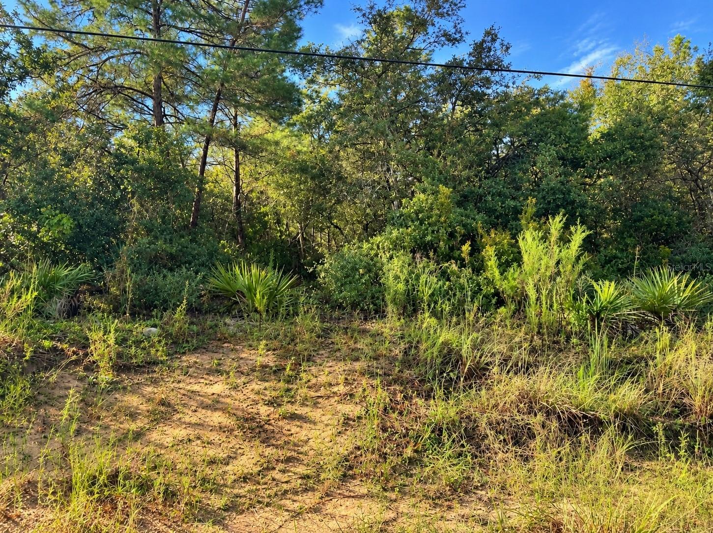 TBD NE 133RD STREET, Salt Springs, FL 32134