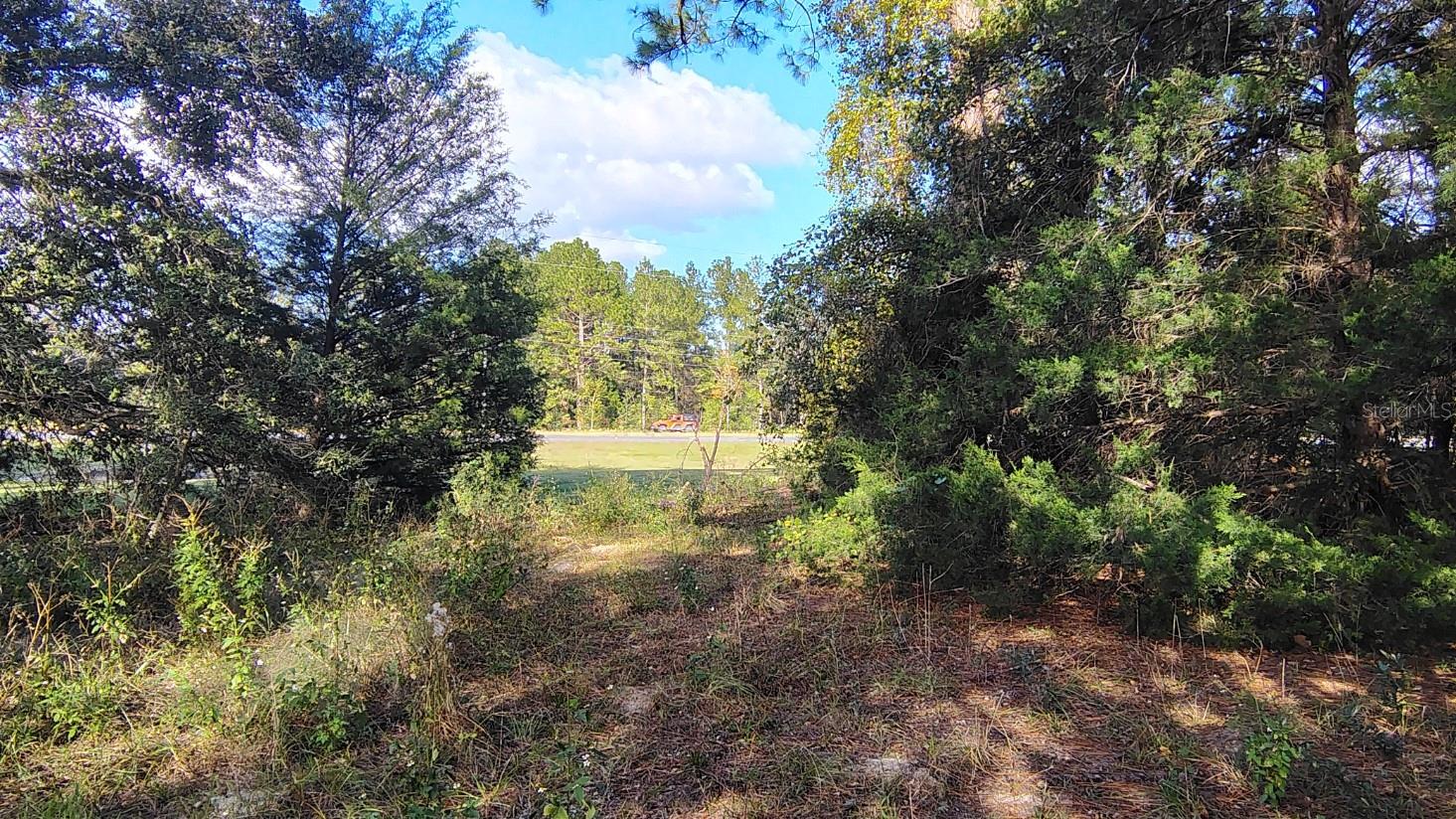 0000 NE HWY 27 ALT, Williston, FL 32696