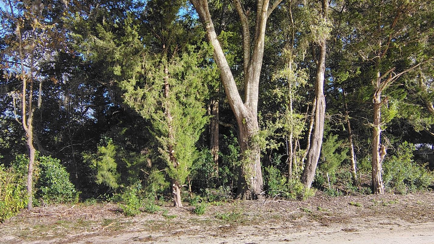 0000 NE HWY 27 ALT, Williston, FL 32696