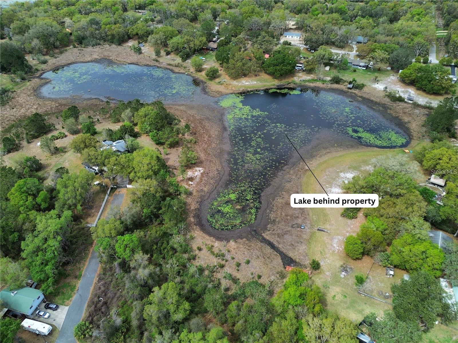 TBD SE 167TH CT, Ocklawaha, FL 32179