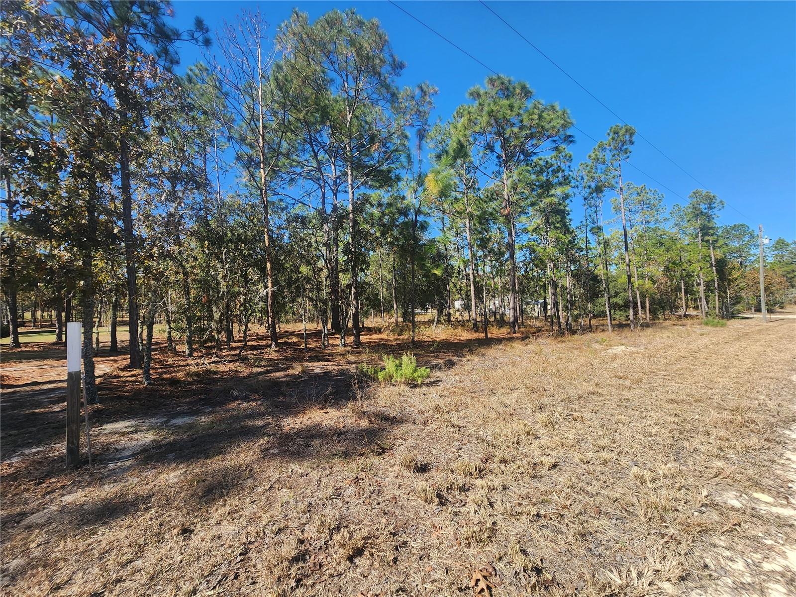 421 AVENIDA DEL SUR, Clewiston, FL 33440 421 AVENIDA DEL SUR, Clewiston, FL 33440