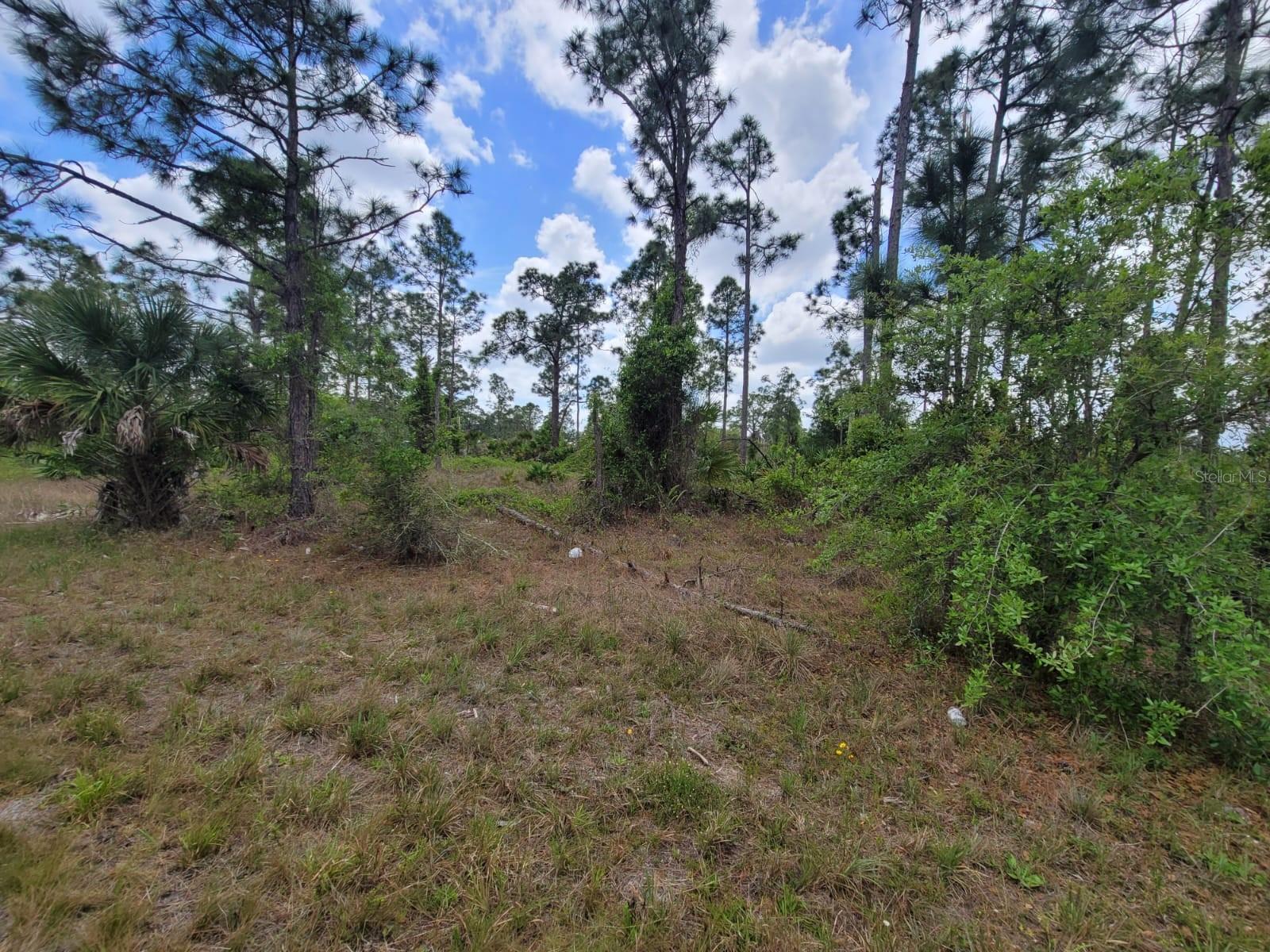 421 AVENIDA DEL SUR, Clewiston, FL 33440 421 AVENIDA DEL SUR, Clewiston, FL 33440