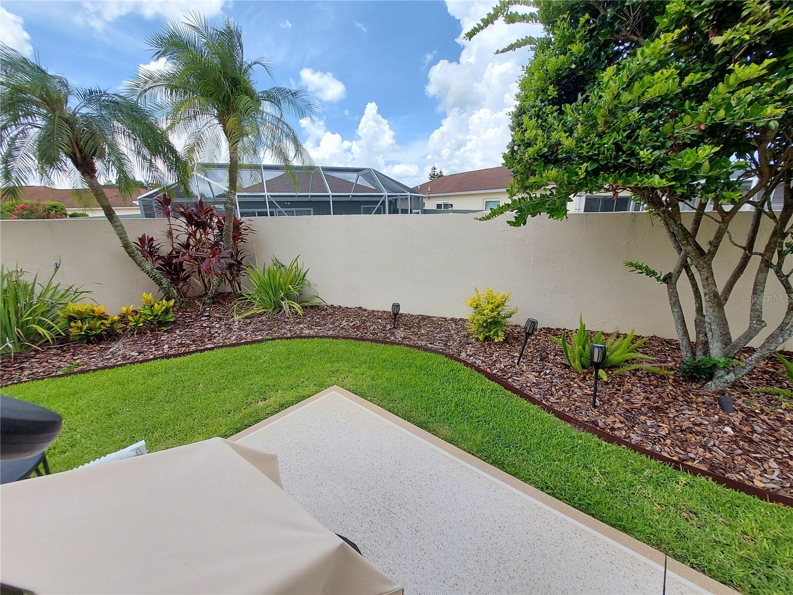 BACK YARD - NICE PRIVACY