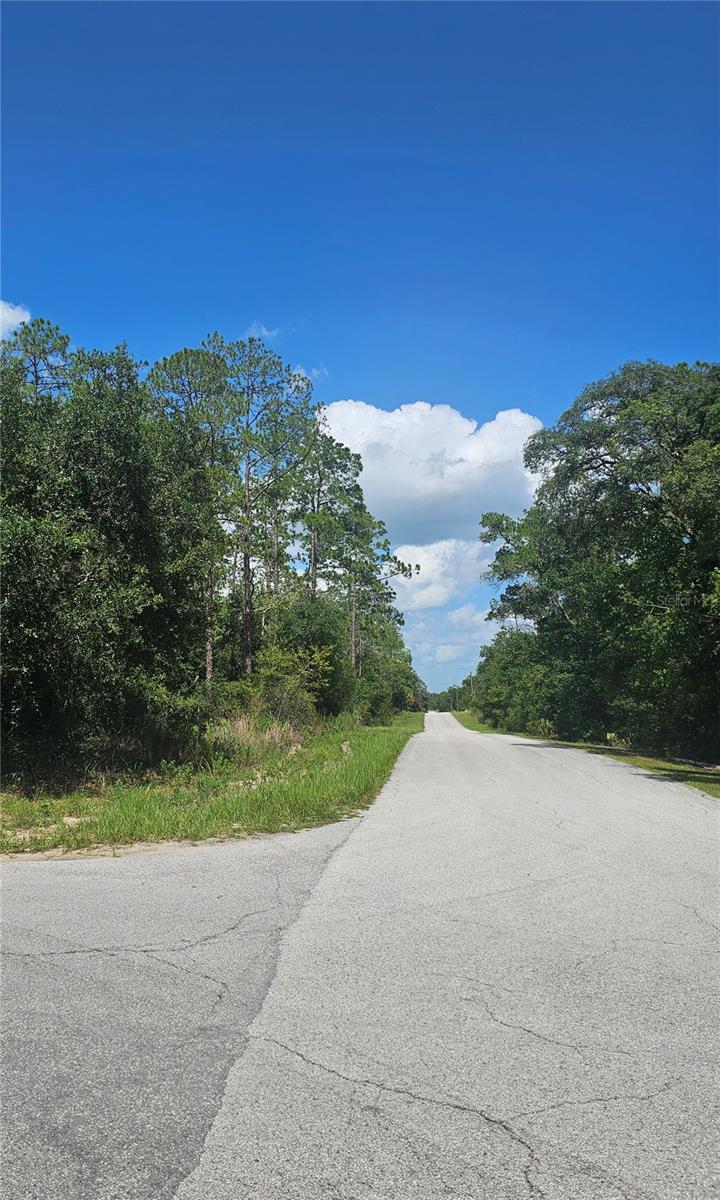 TBD SW ZINNIA COURT, Dunnellon, FL 34431