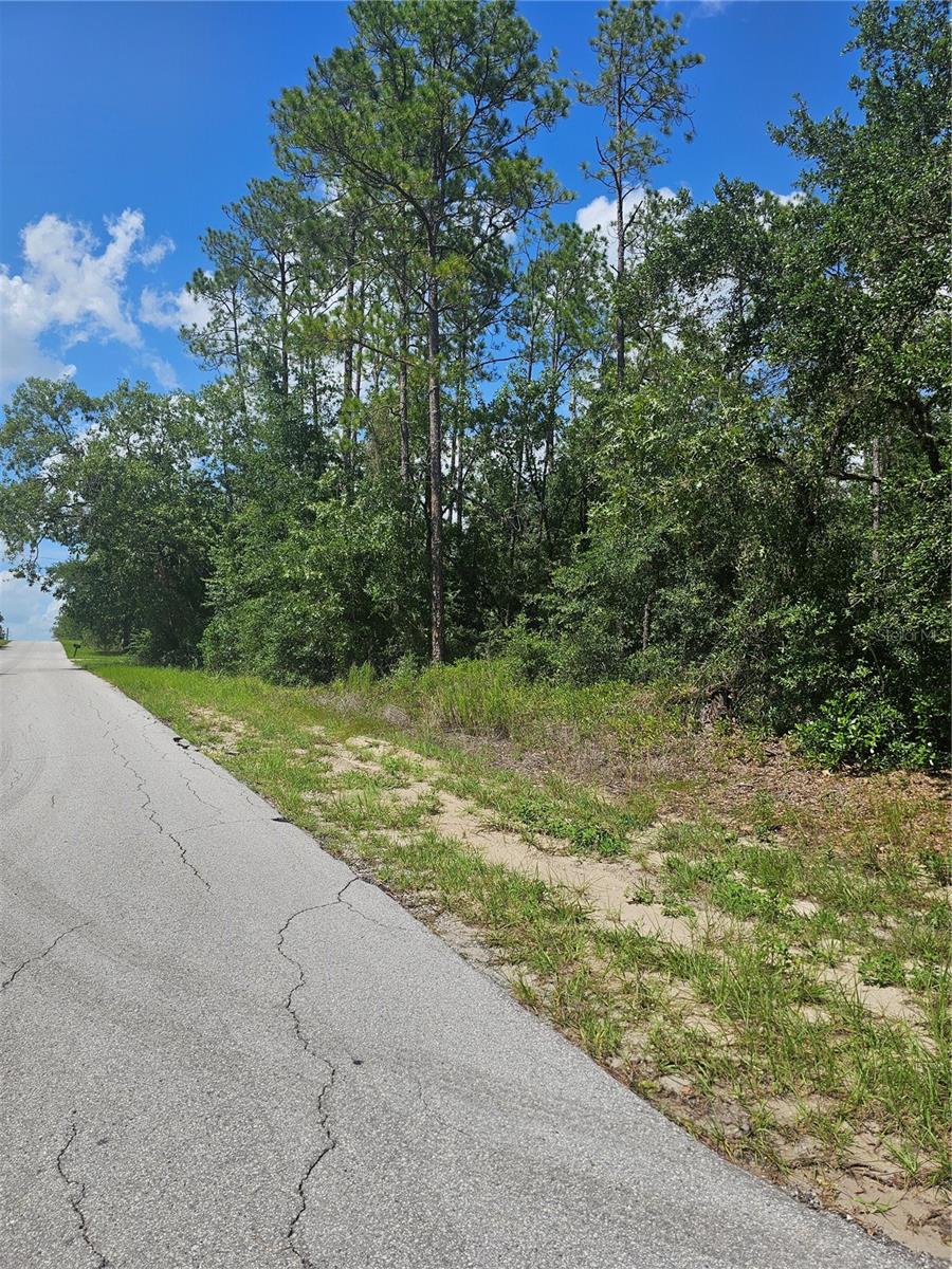 TBD SW ZINNIA COURT, Dunnellon, FL 34431