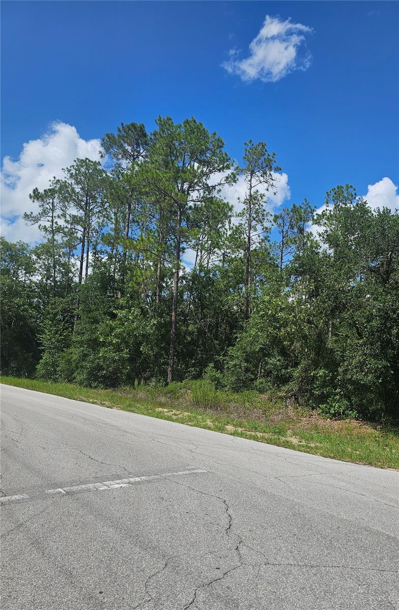 TBD SW ZINNIA COURT, Dunnellon, FL 34431