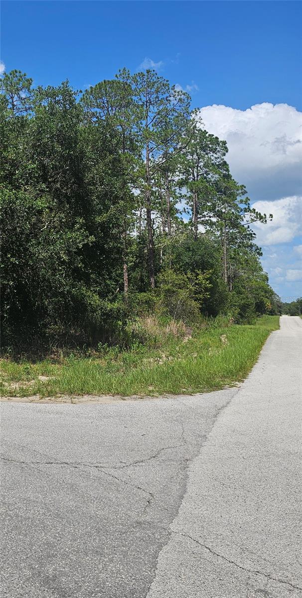 TBD SW ZINNIA COURT, Dunnellon, FL 34431
