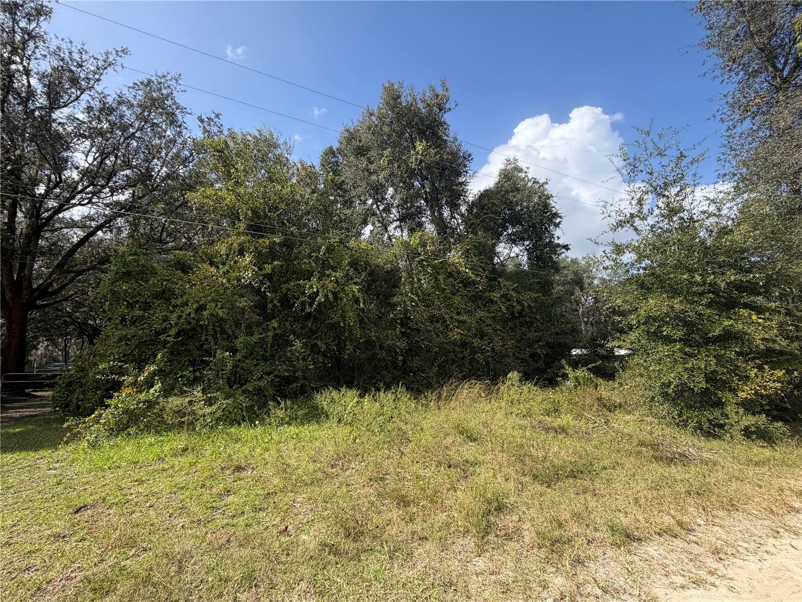 TBD NE 168 COURT, Silver Springs, FL 34488