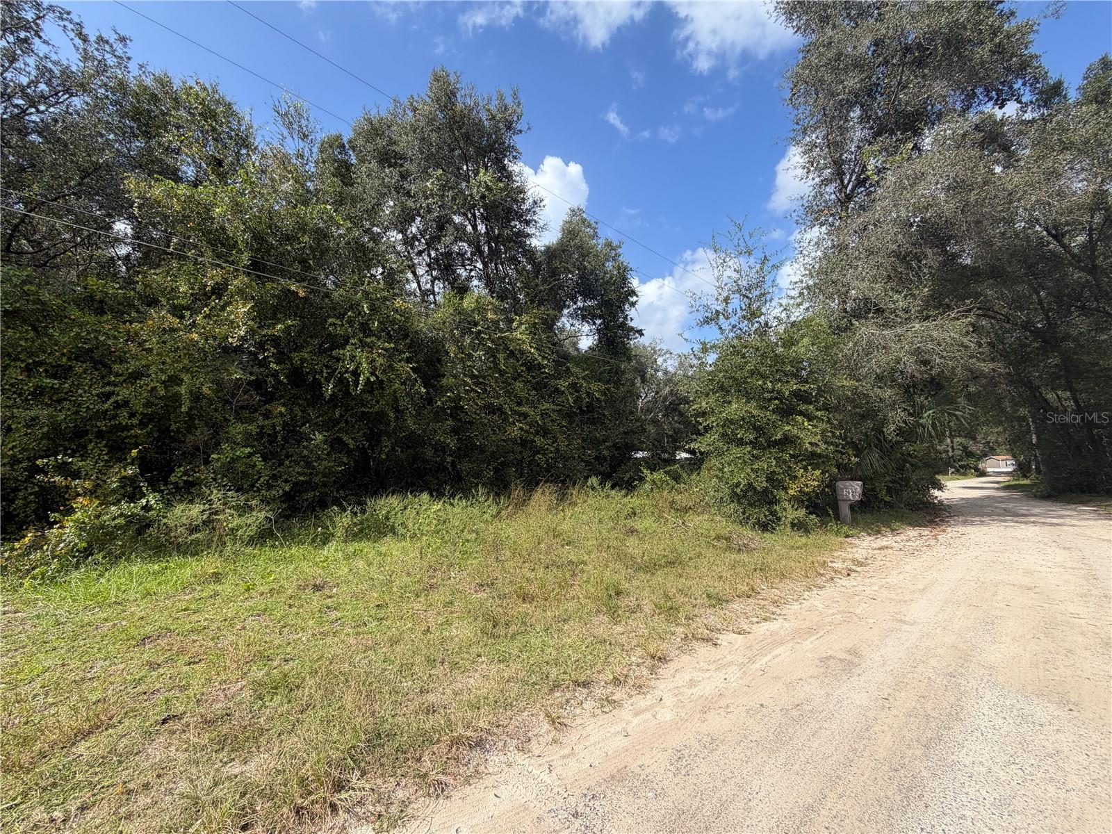 TBD NE 168 COURT, Silver Springs, FL 34488