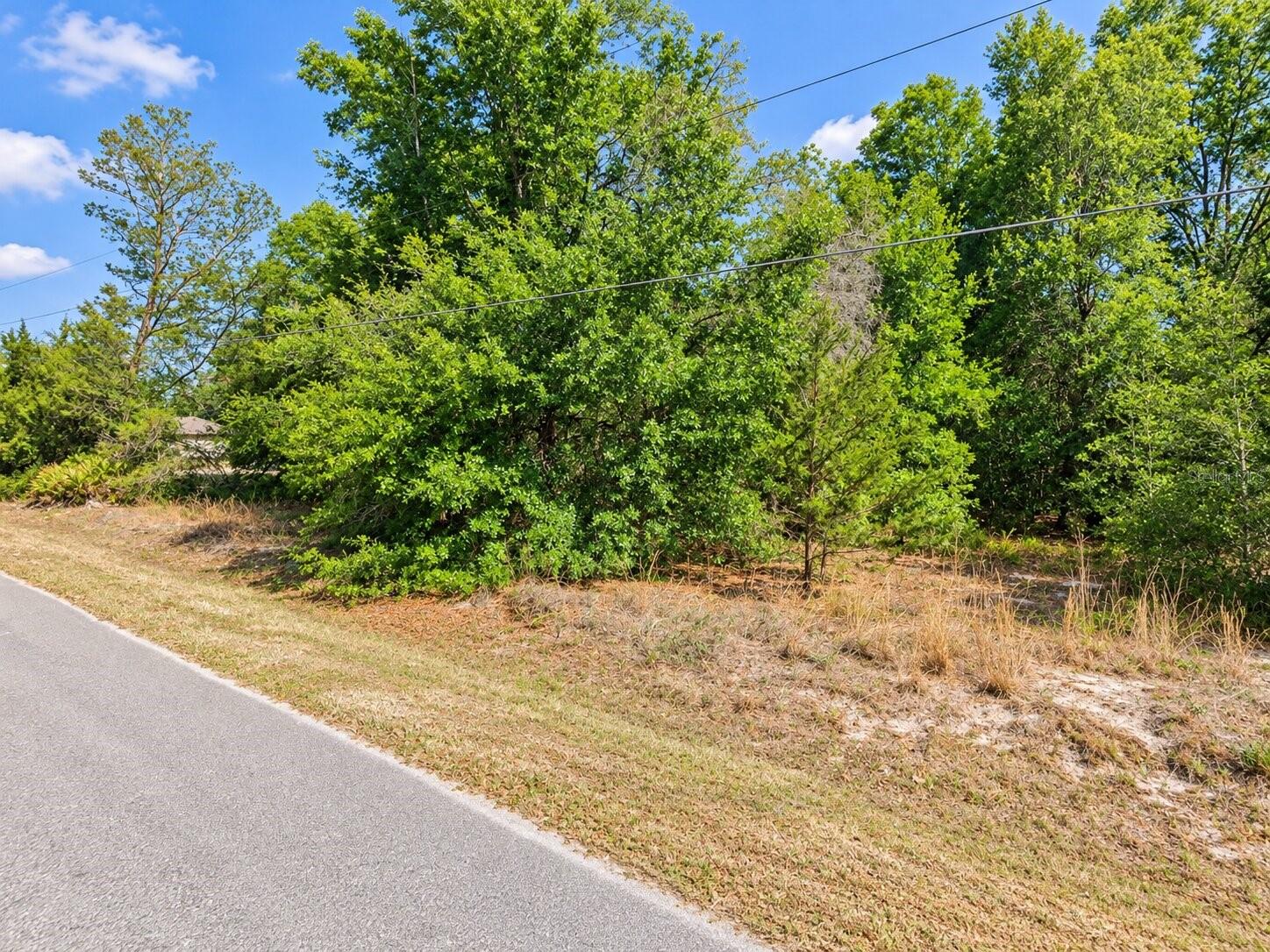 SE 108TH PLACE, Belleview, FL 34420