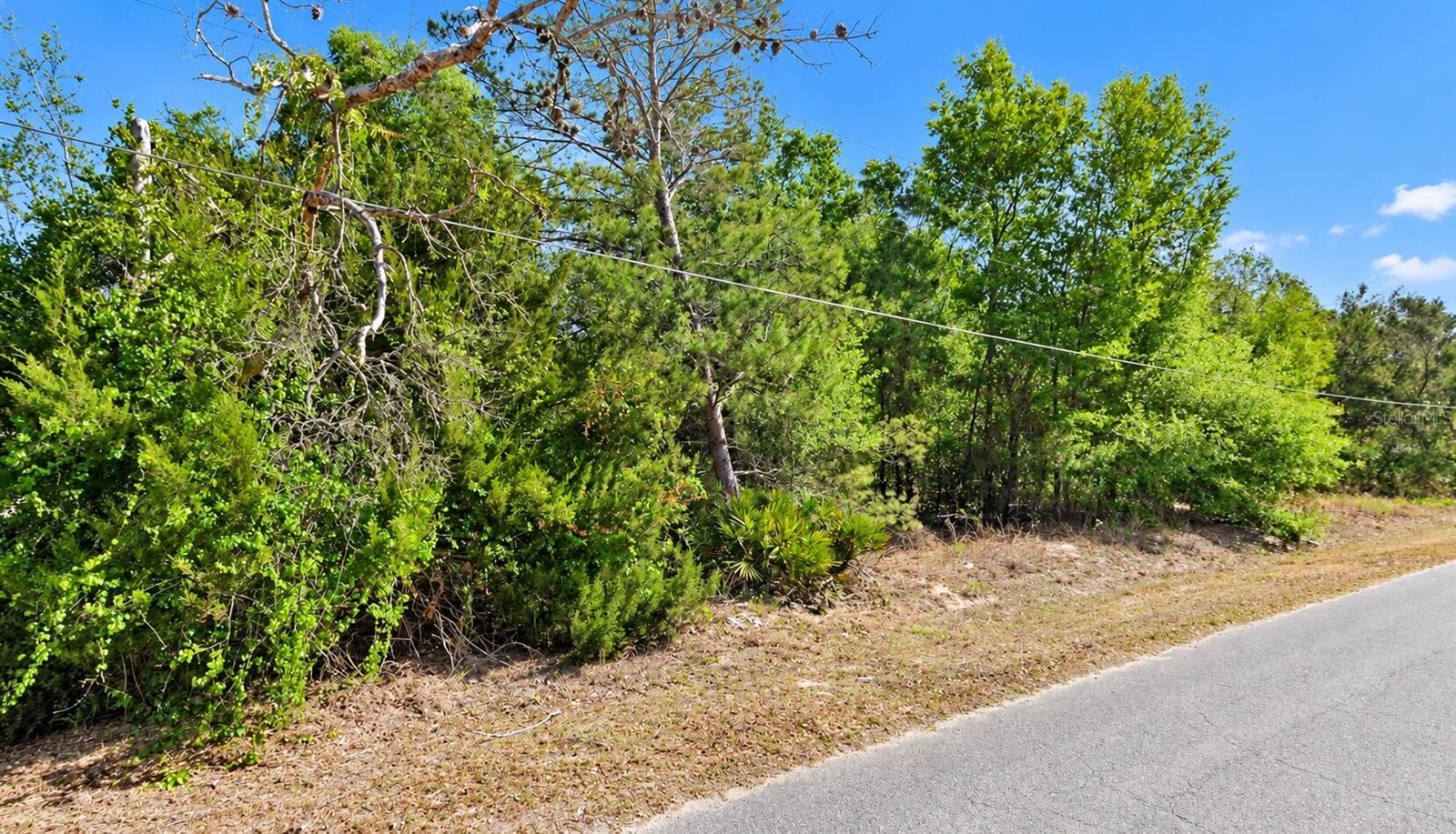 SE 108TH PLACE, Belleview, FL 34420