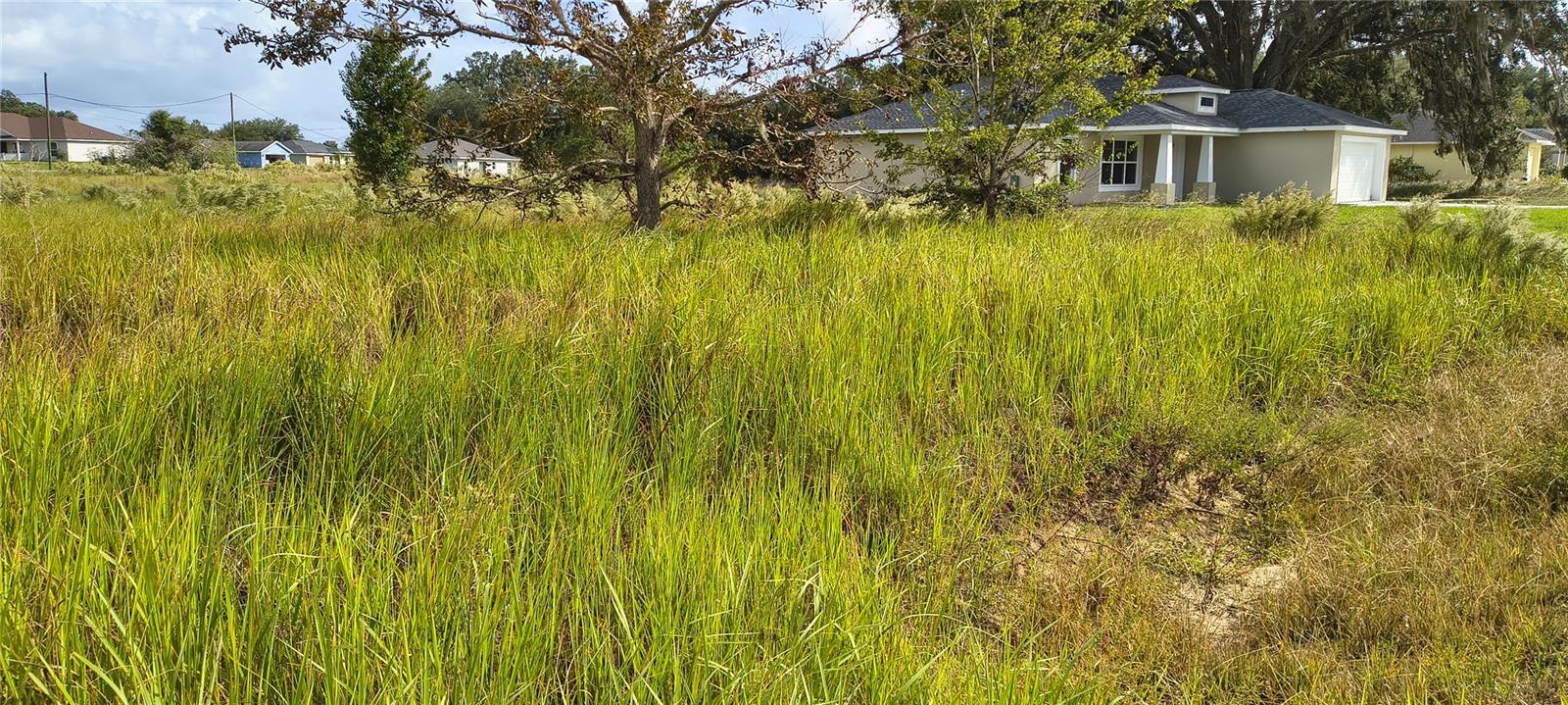 215 LOCUST LANE, Ocala, FL 34472