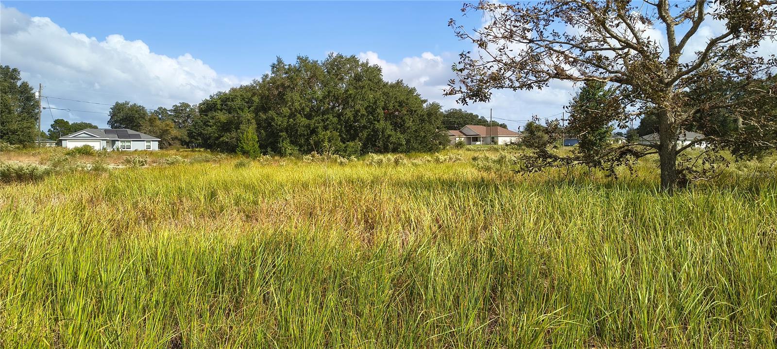 215 LOCUST LANE, Ocala, FL 34472