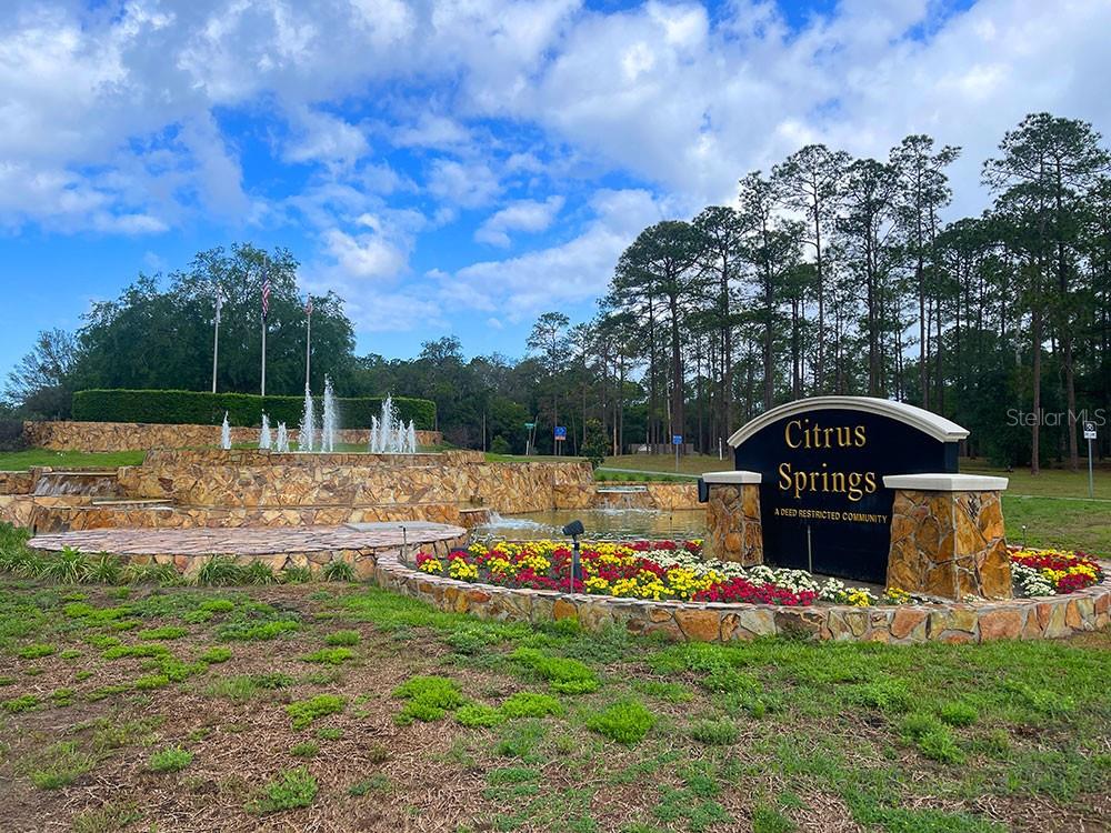 1414 W EVERGREEN DRIVE, Citrus Springs, FL 34434
