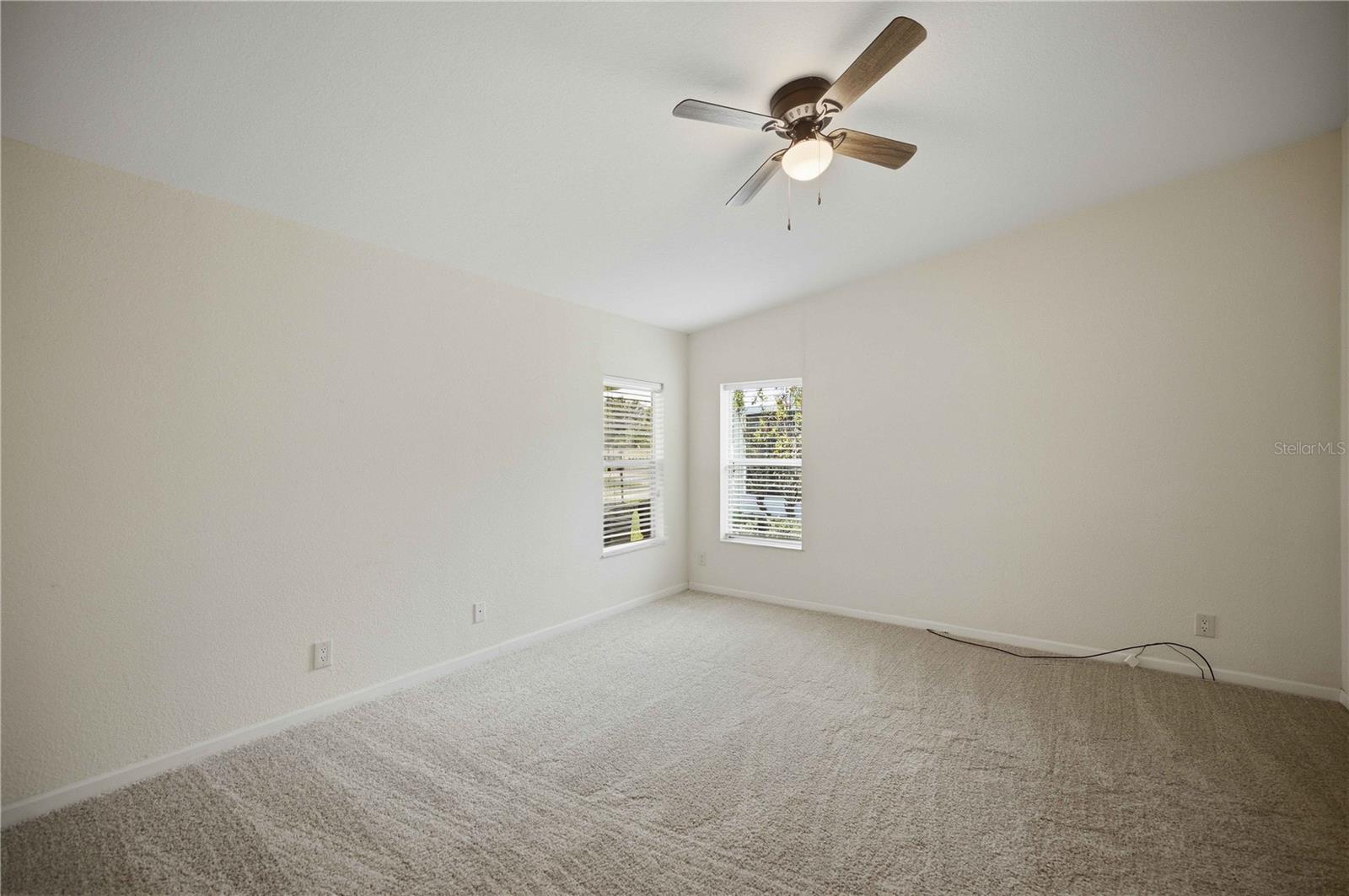 New carpet