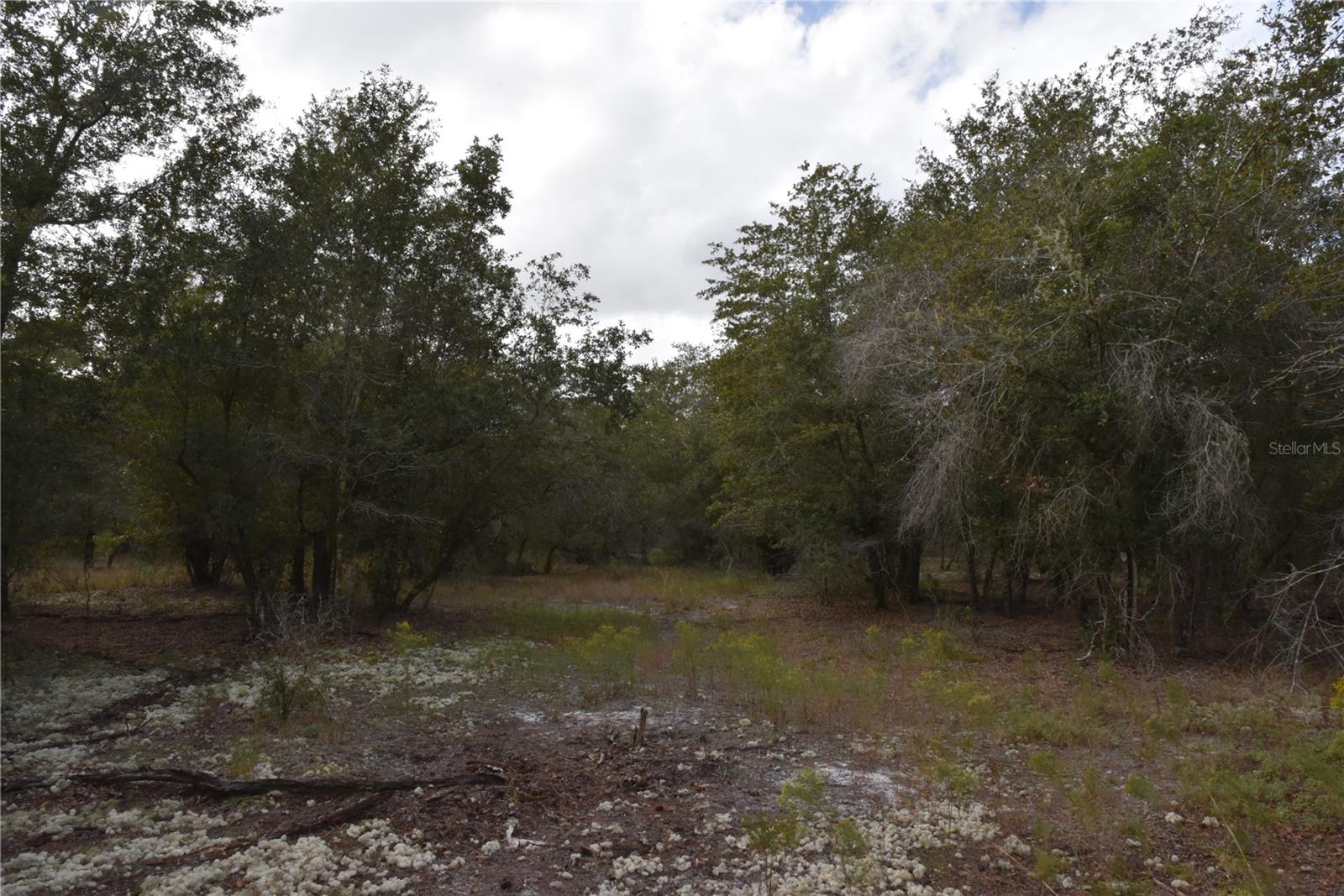 9150 SE US HIGHWAY 301, Hawthorne, FL 32640