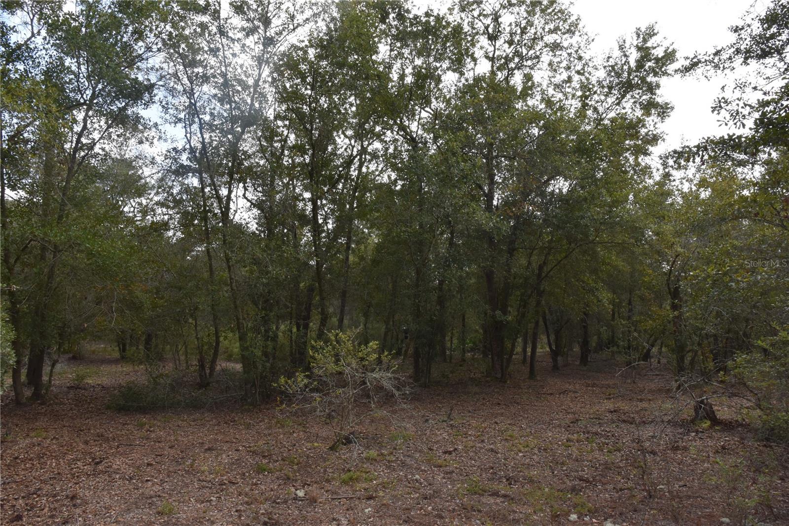 9150 SE US HIGHWAY 301, Hawthorne, FL 32640