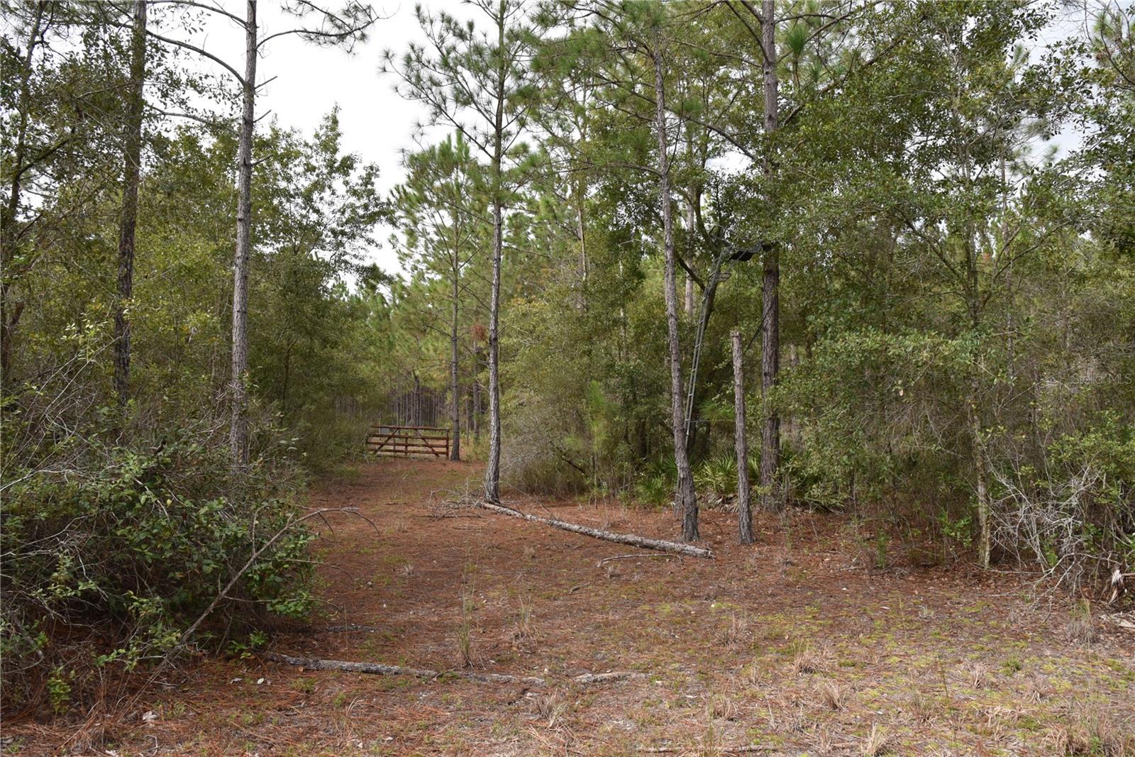 9150 SE US HIGHWAY 301, Hawthorne, FL 32640