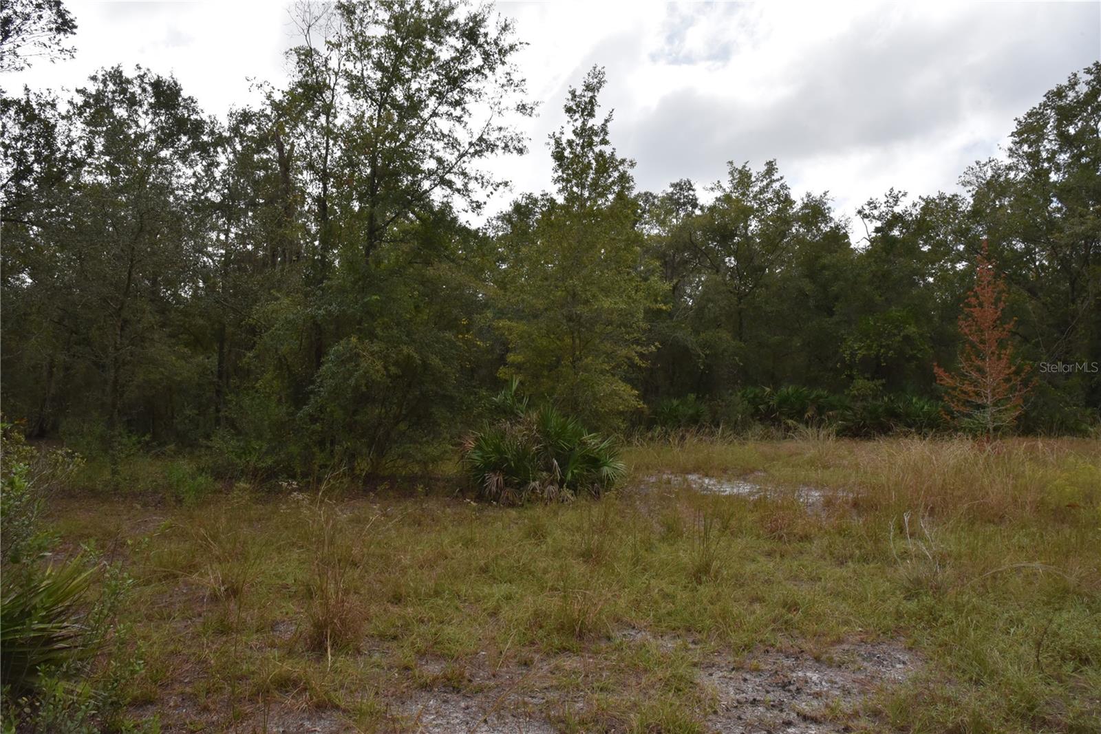 9150 SE US HIGHWAY 301, Hawthorne, FL 32640