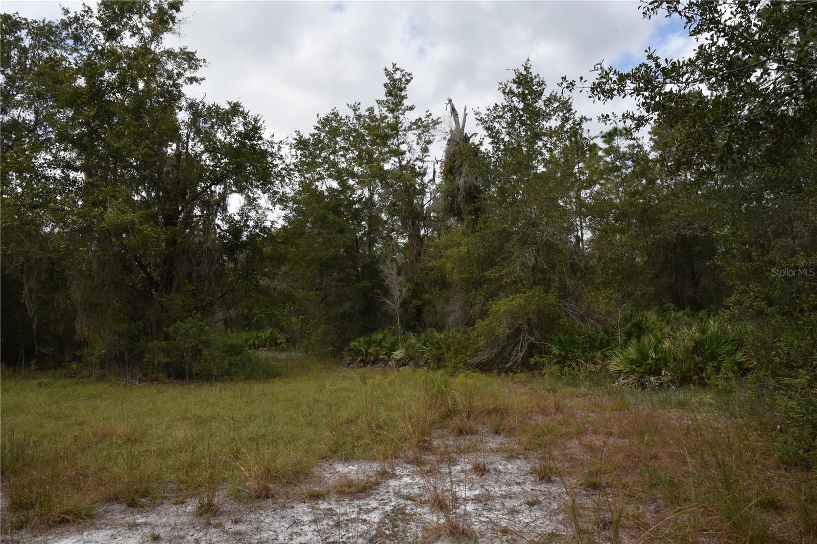9150 SE US HIGHWAY 301, Hawthorne, FL 32640