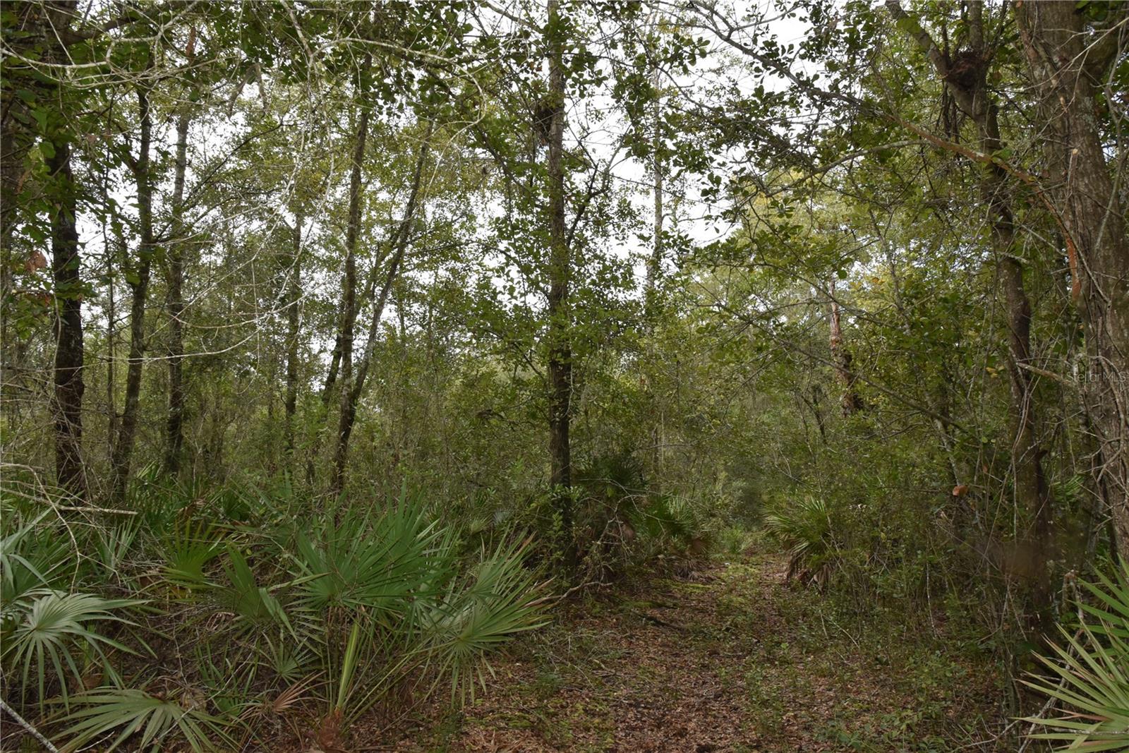 9150 SE US HIGHWAY 301, Hawthorne, FL 32640