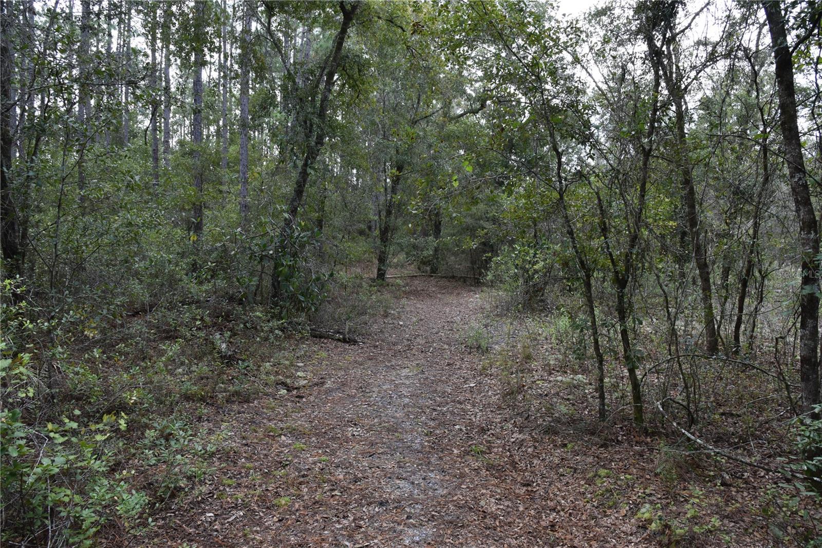 9150 SE US HIGHWAY 301, Hawthorne, FL 32640