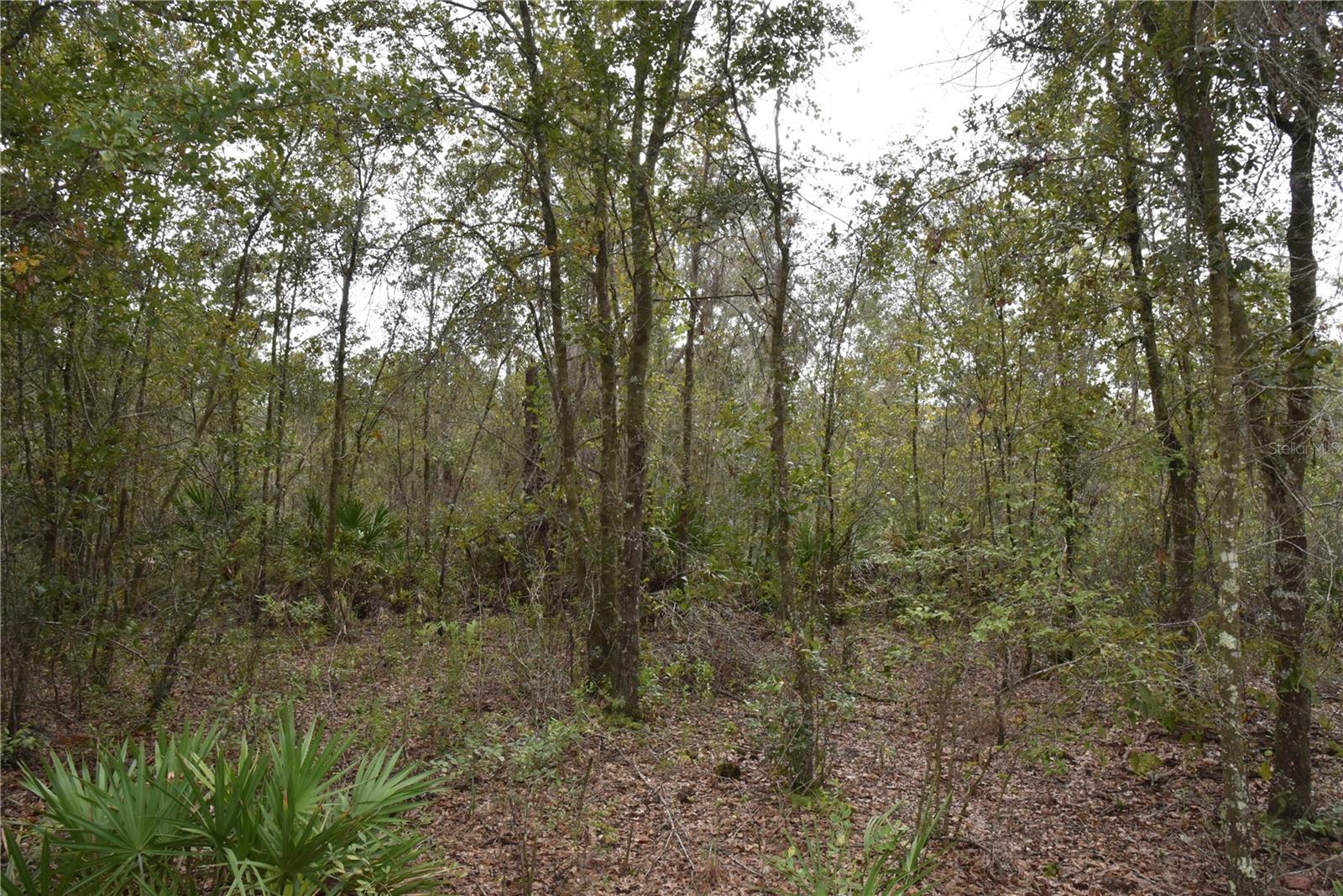 9150 SE US HIGHWAY 301, Hawthorne, FL 32640