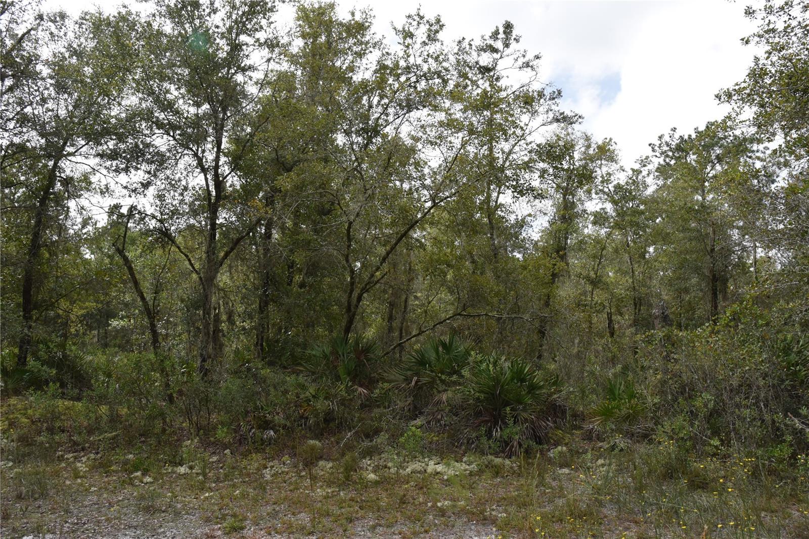 9150 SE US HIGHWAY 301, Hawthorne, FL 32640