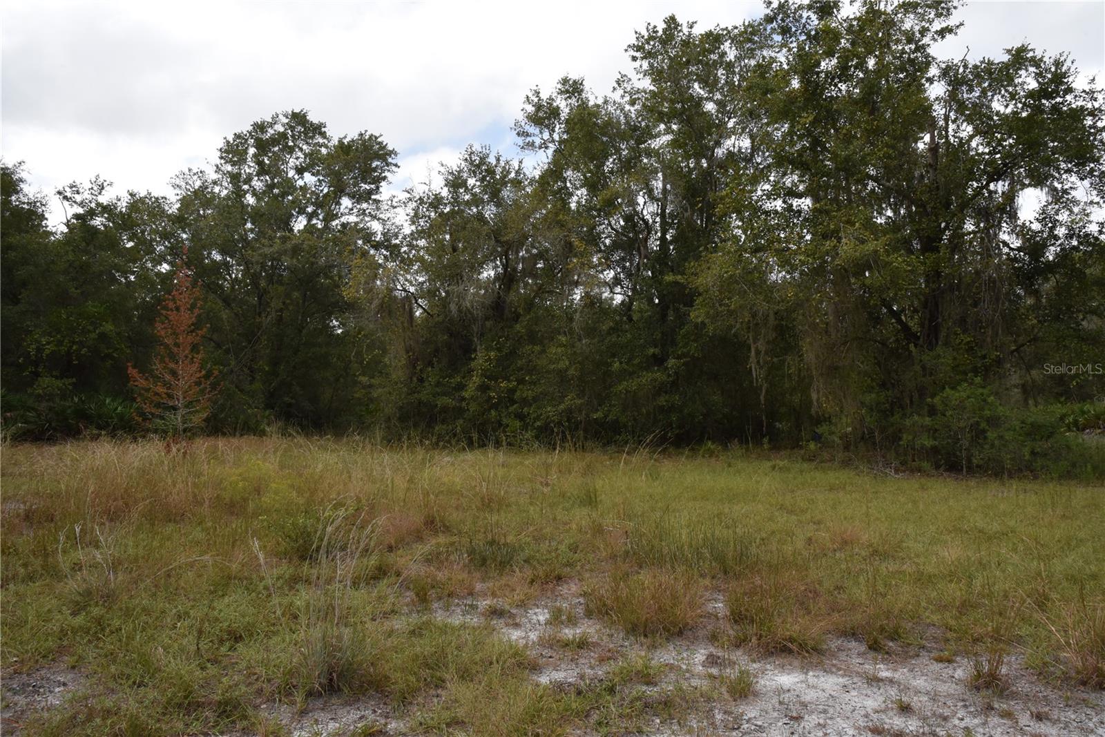 9150 SE US HIGHWAY 301, Hawthorne, FL 32640